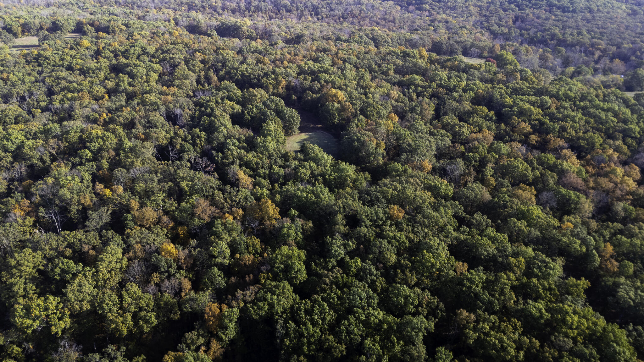 Photo 7 - Land for sale – 000 S 2125 Road  Stockton, MO