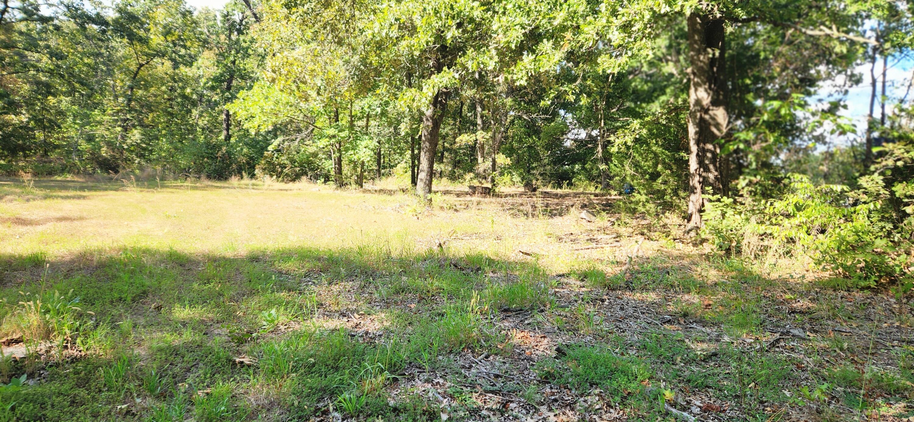 Photo 6 - Land for sale – 000 S 2125 Road  Stockton, MO