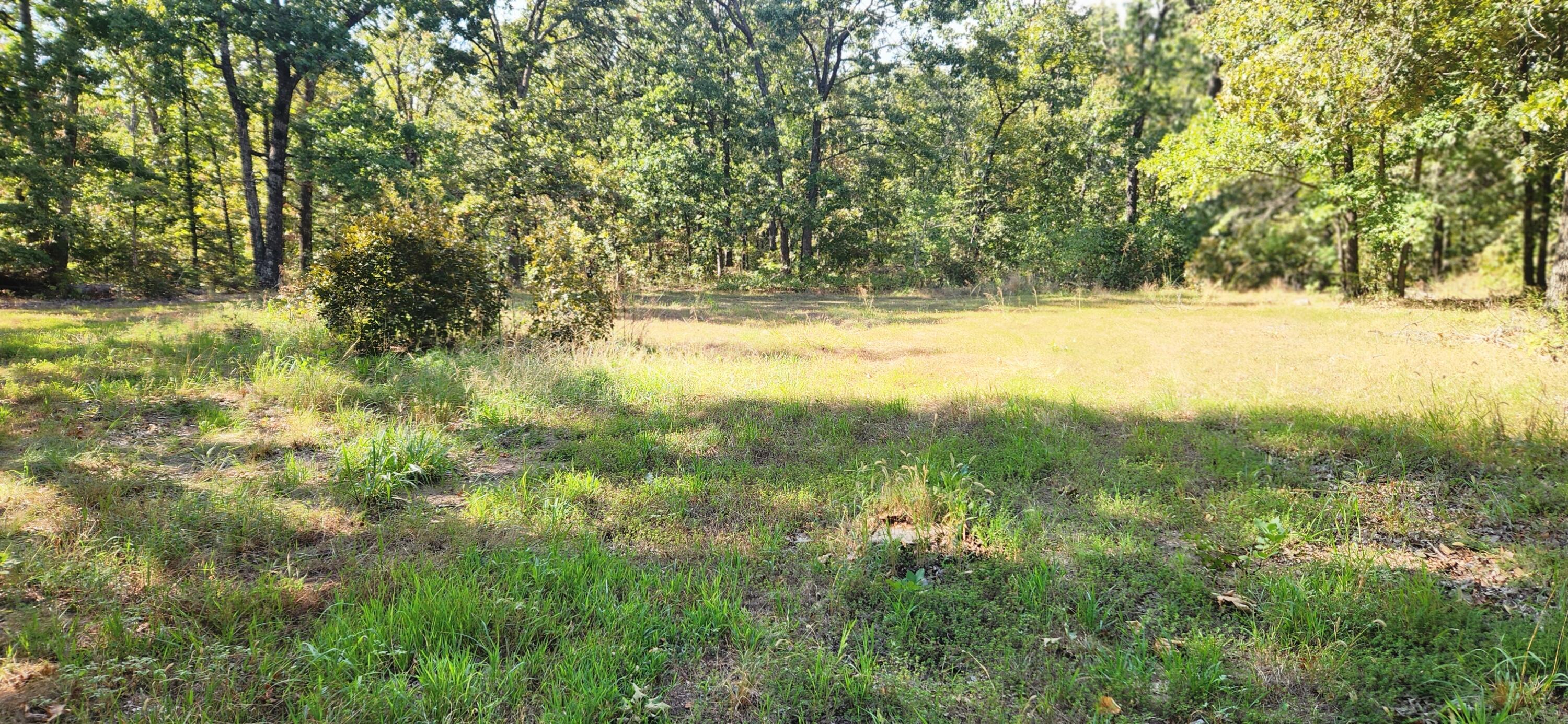 Photo 5 - Land for sale – 000 S 2125 Road  Stockton, MO