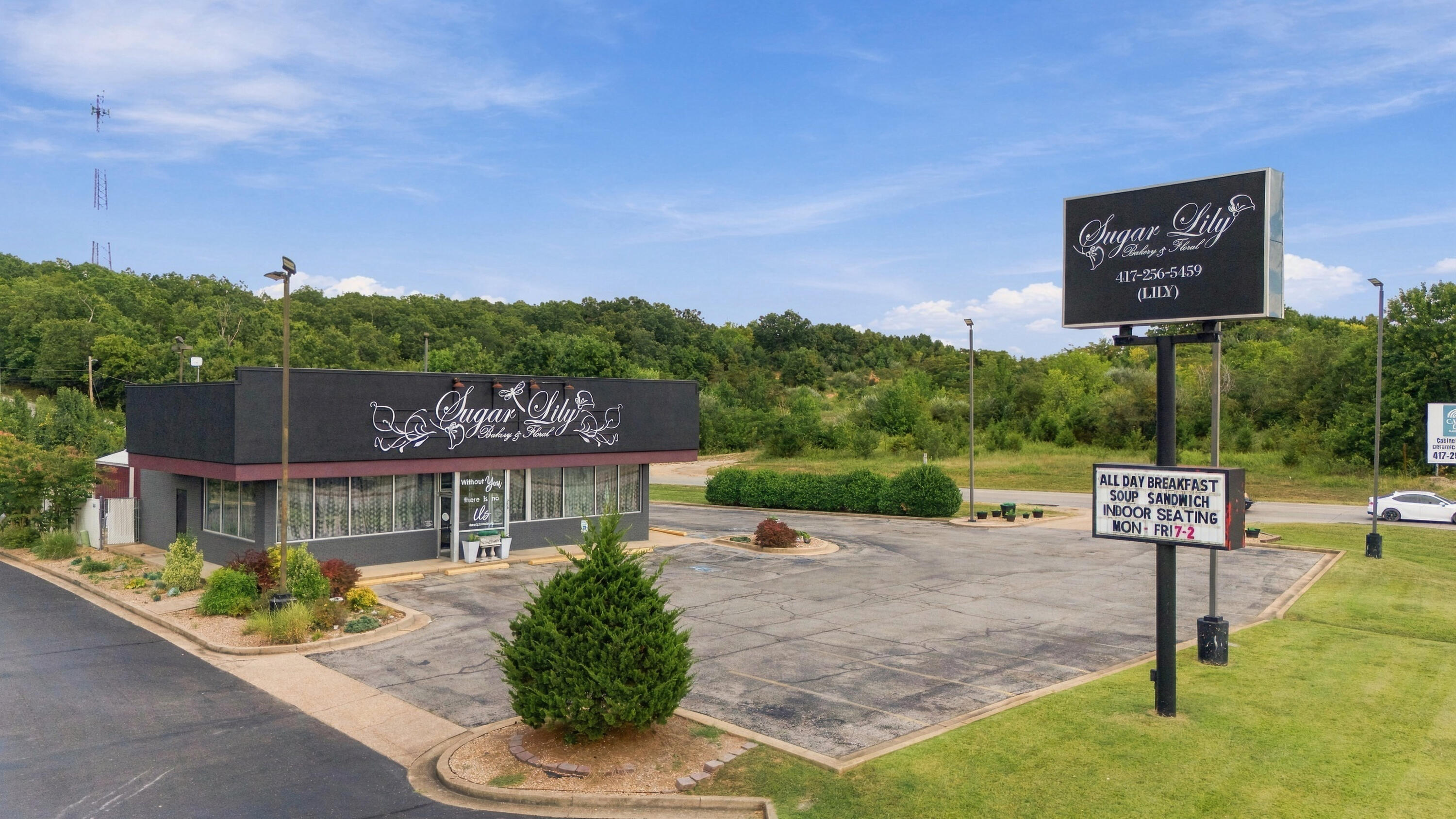 Commercial Sale for sale – 210  Jan Howard Expressway  West Plains, MO