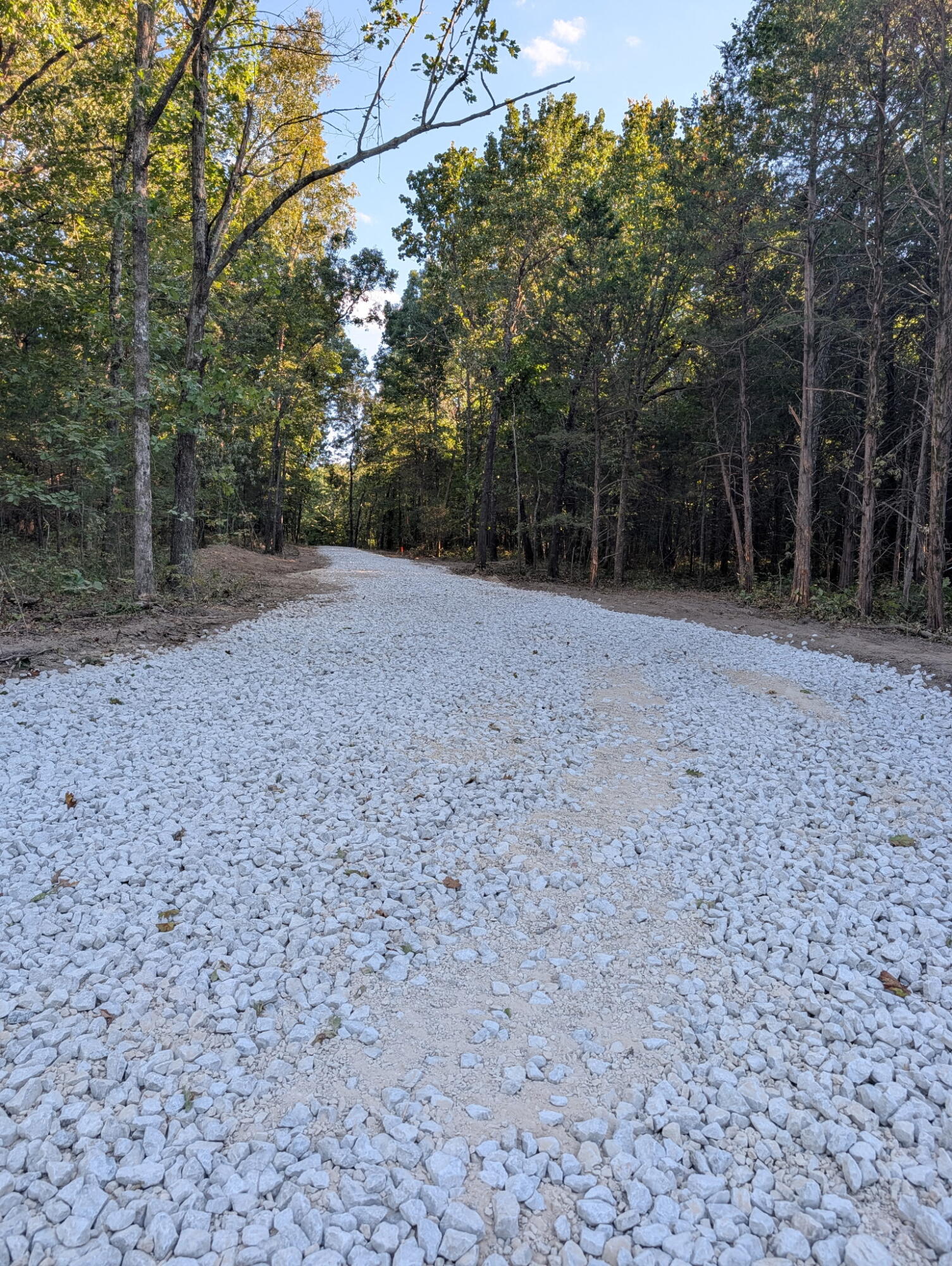 Land for sale – 000  Honey Creek Drive  Strafford, MO