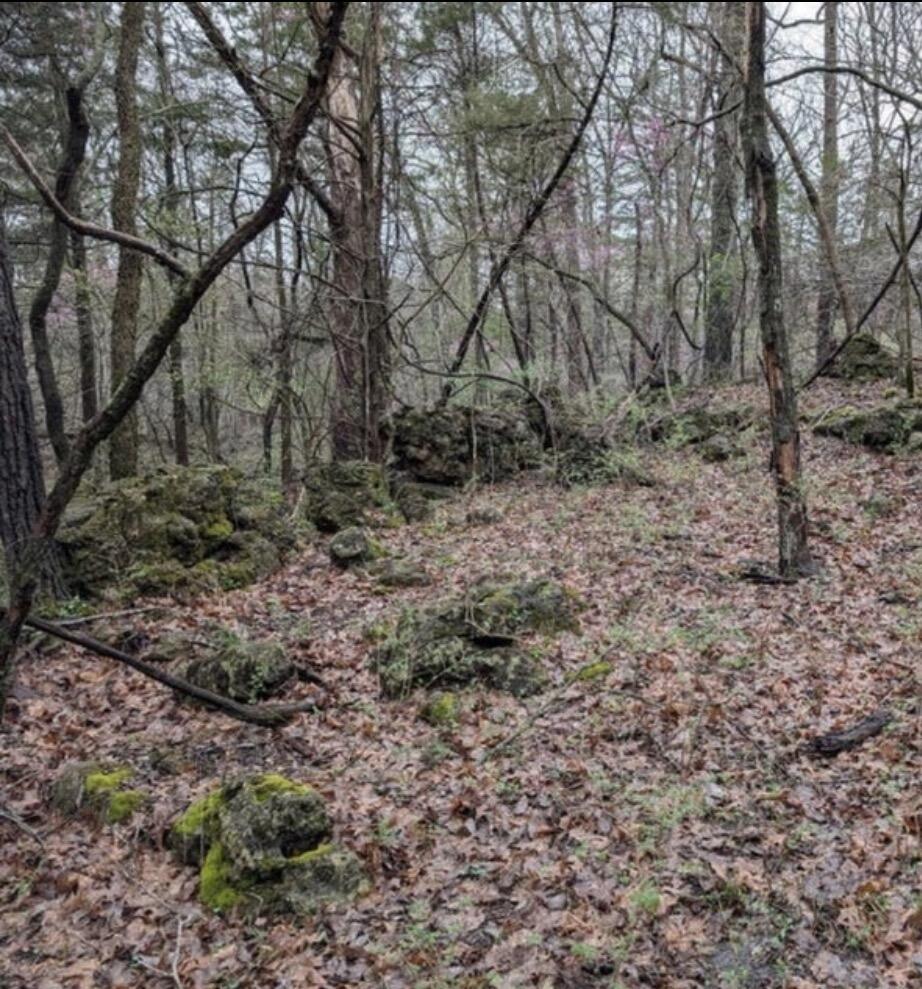 Photo 3 - Land for sale – 000  Honey Creek Drive  Strafford, MO