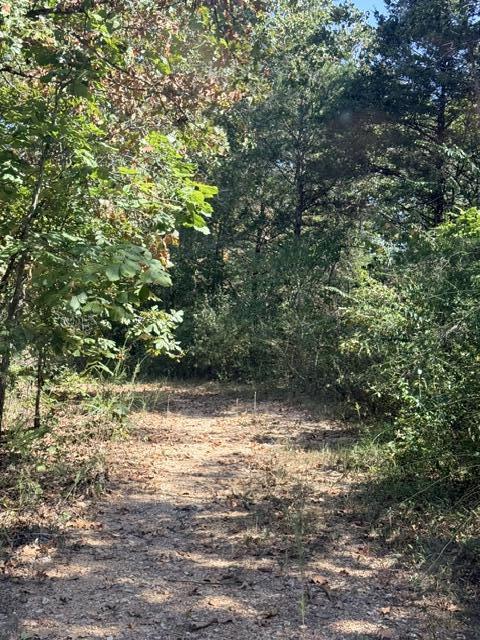 Photo 5 - Residential for sale – 12  Willhoit Lane  Theodosia, MO
