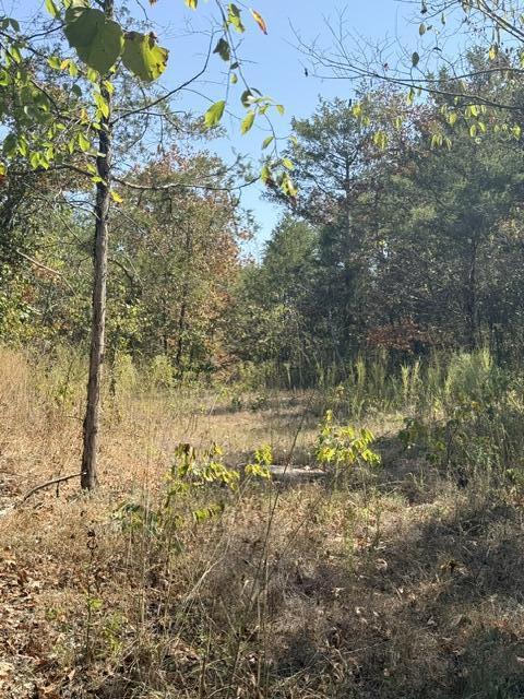 Photo 6 - Residential for sale – 12  Willhoit Lane  Theodosia, MO