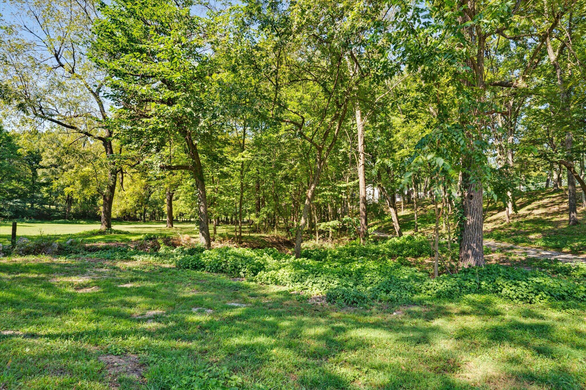 Photo 57 - Residential for sale – 4901 E Farm Rd 66   Springfield, MO