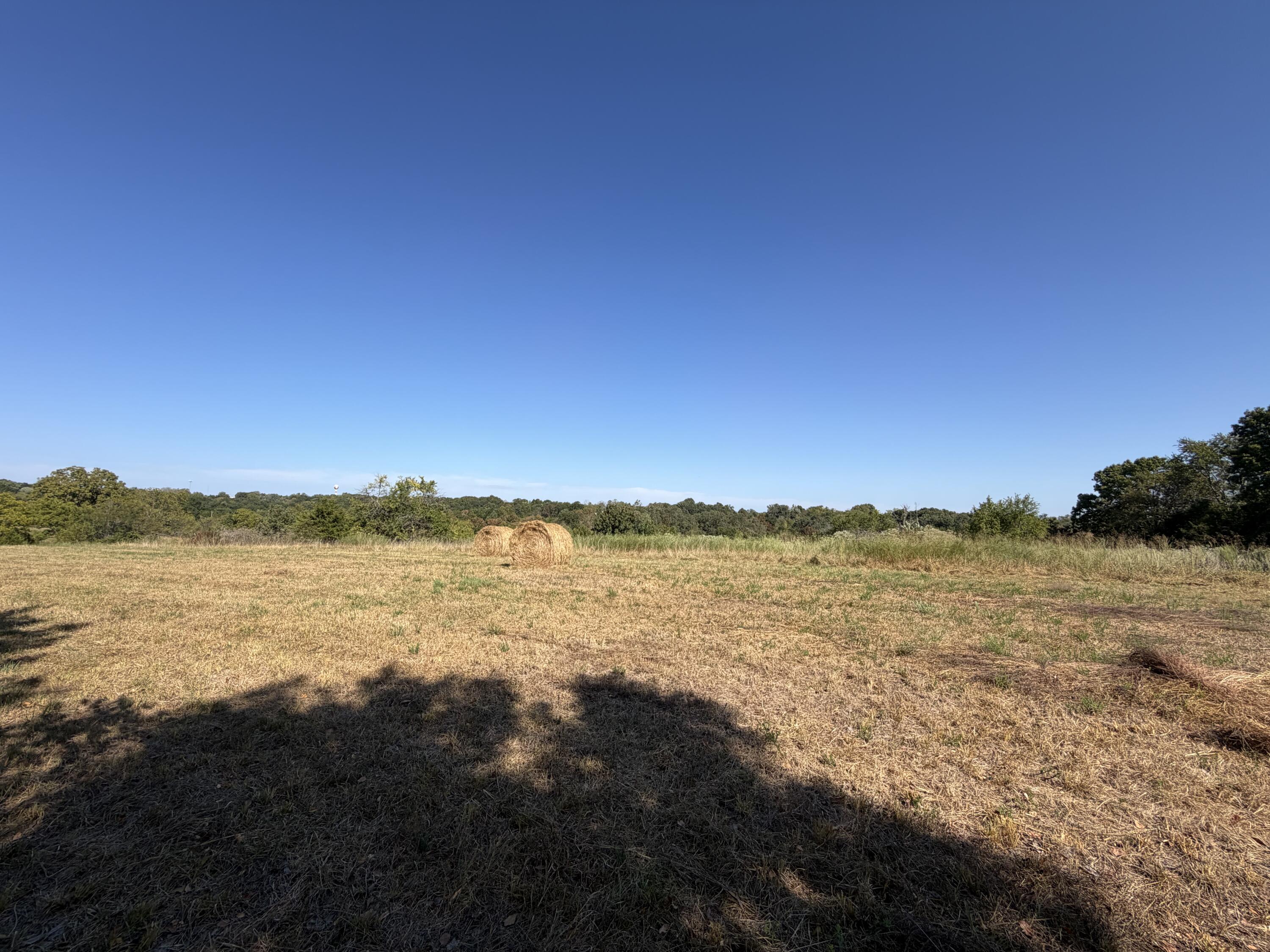 Photo 2 - Land for sale – 000  Greentown Road  Buffalo, MO