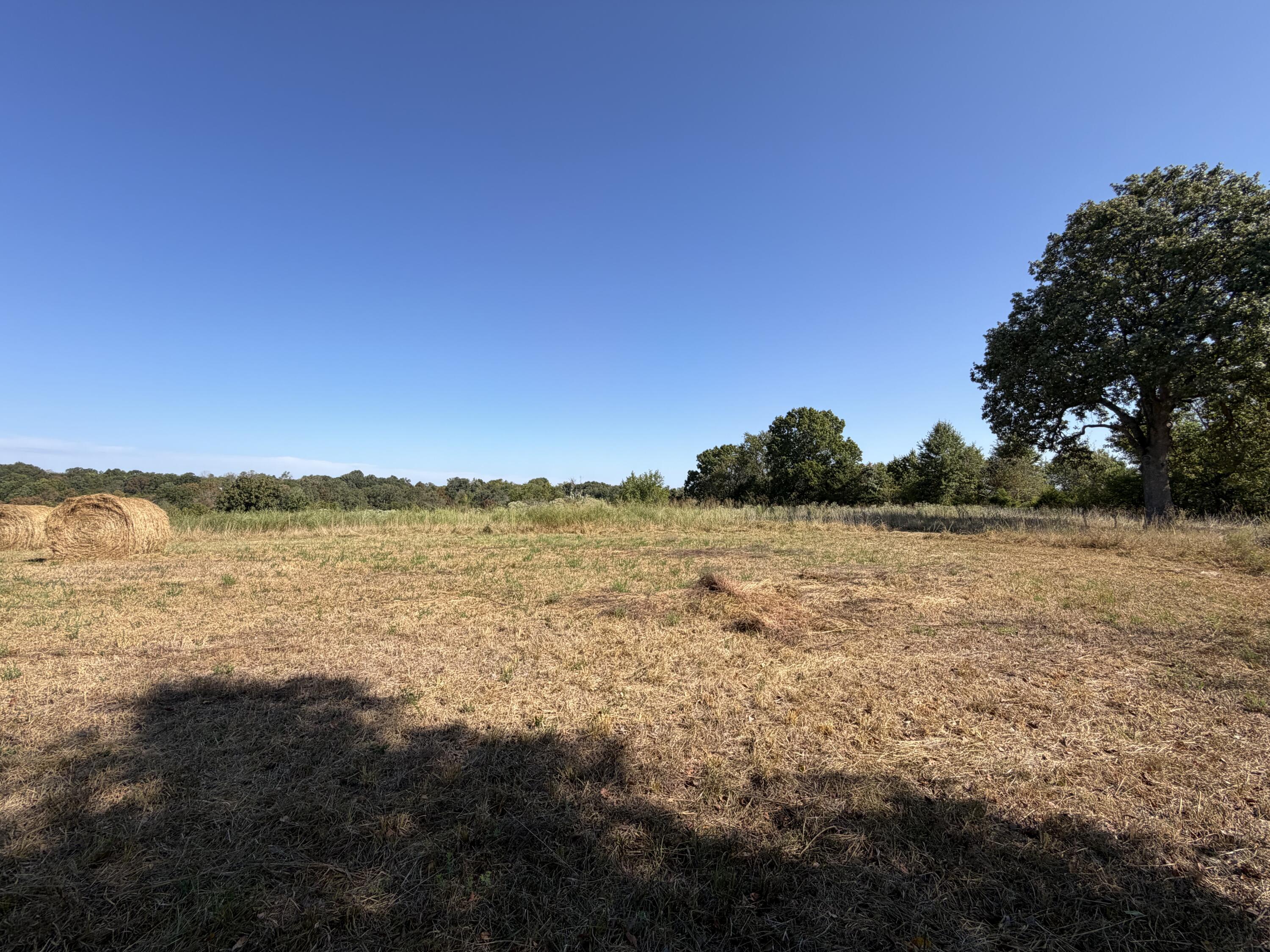 Land for sale – 000  Greentown Road  Buffalo, MO