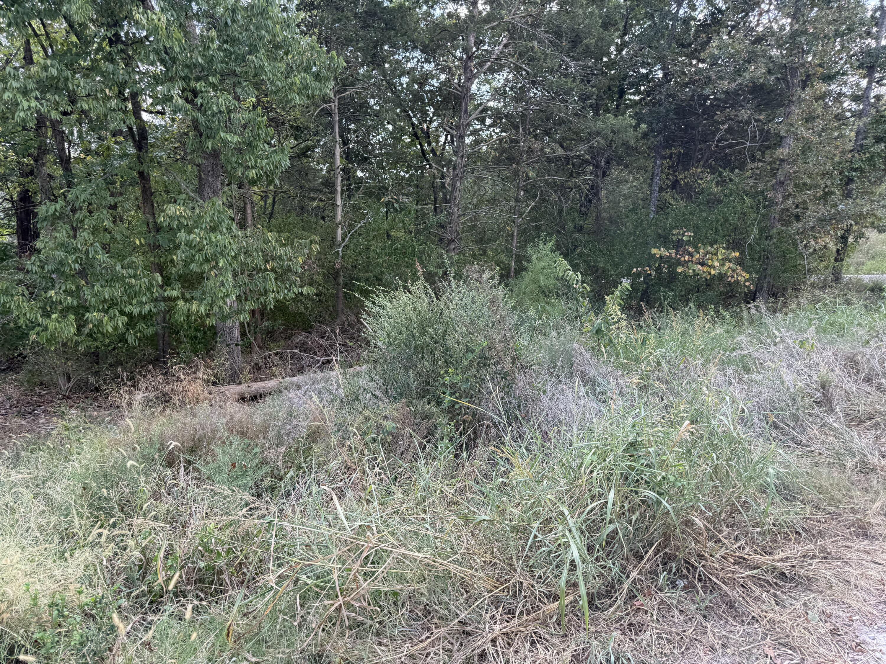 Photo 4 - Residential for sale – 20  Dollar Lane  Lampe, MO