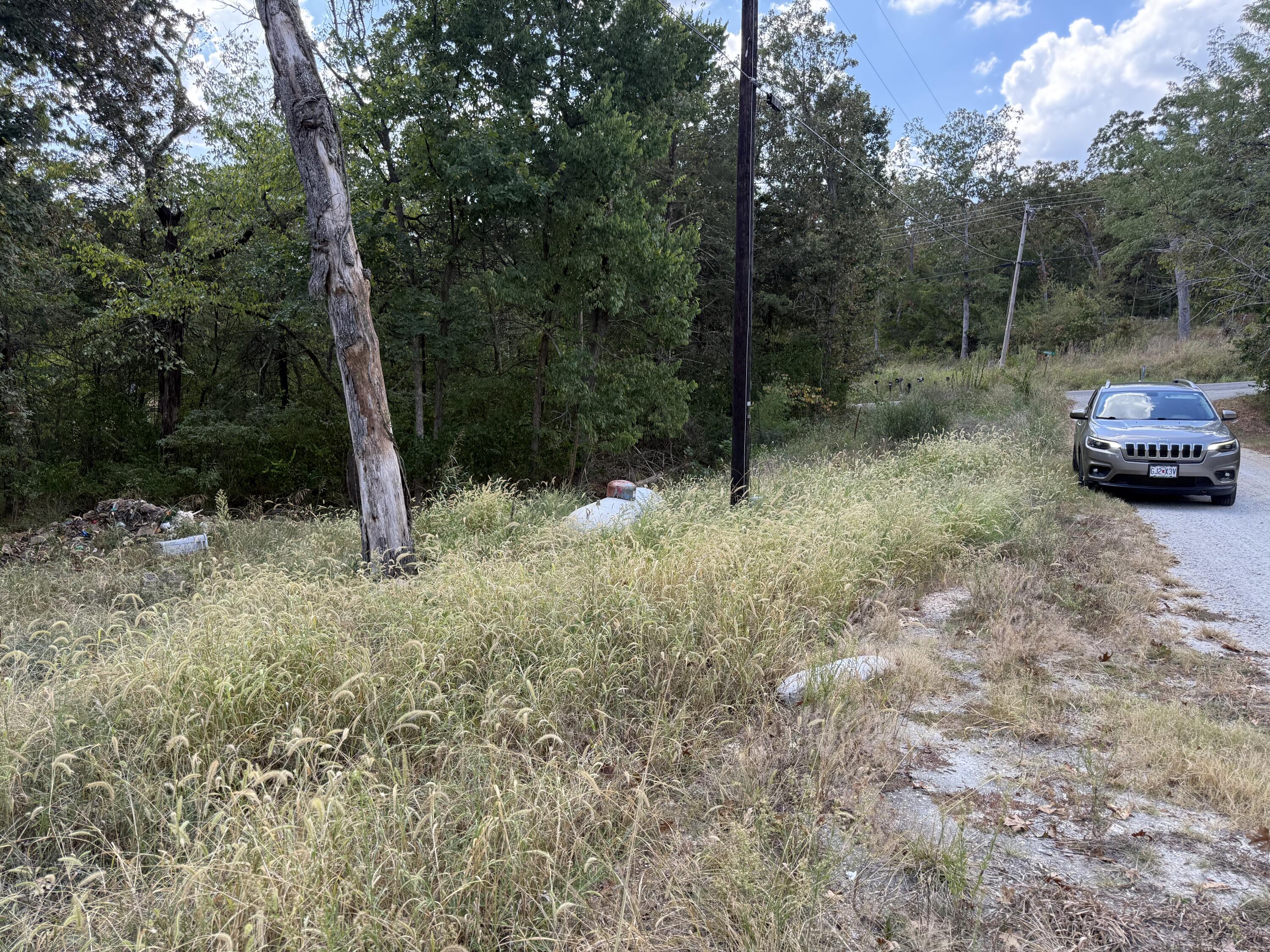Photo 6 - Residential for sale – 20  Dollar Lane  Lampe, MO