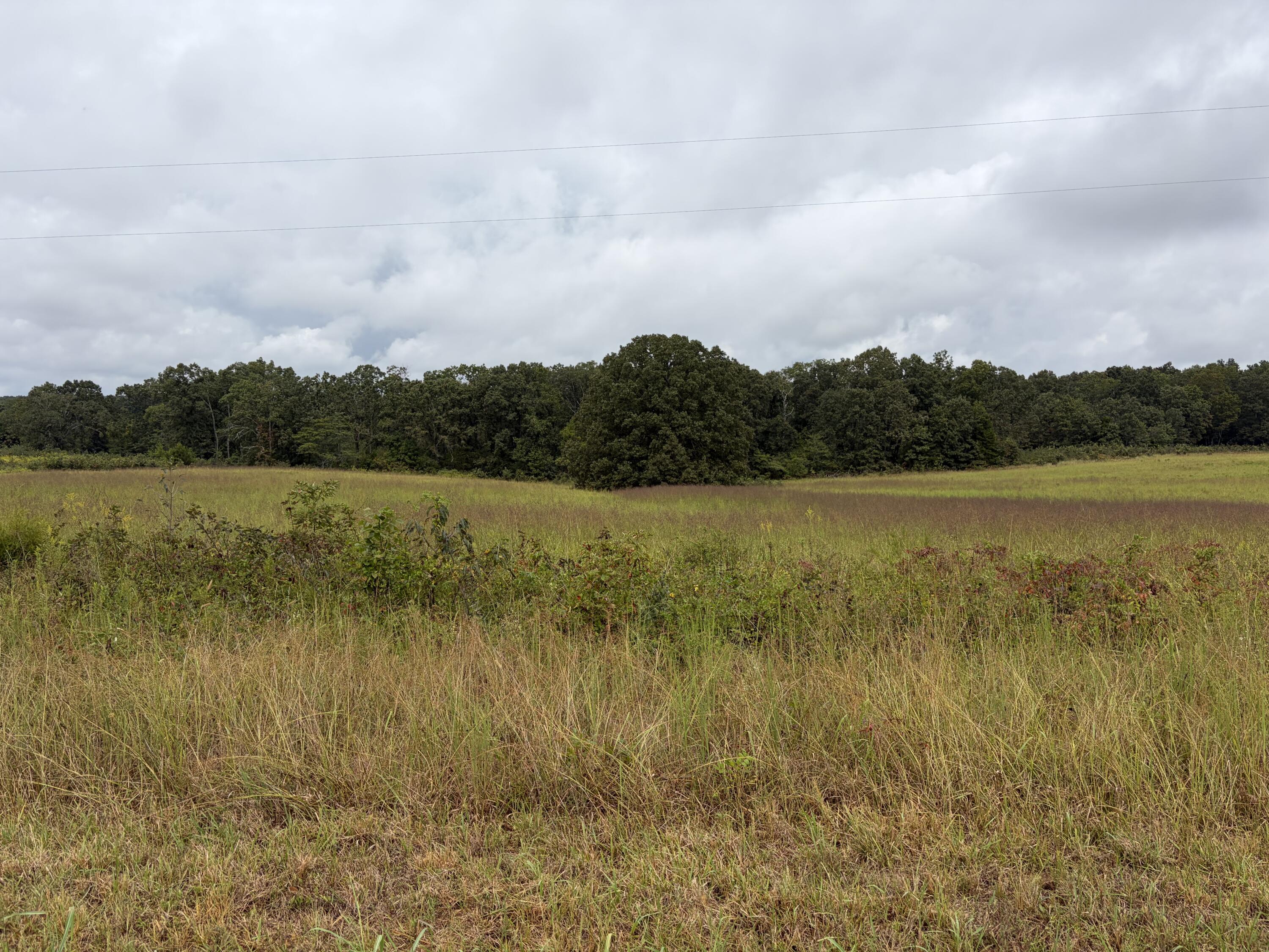 Photo 3 - Land for sale – 22833  Missouri 19   Alton, MO