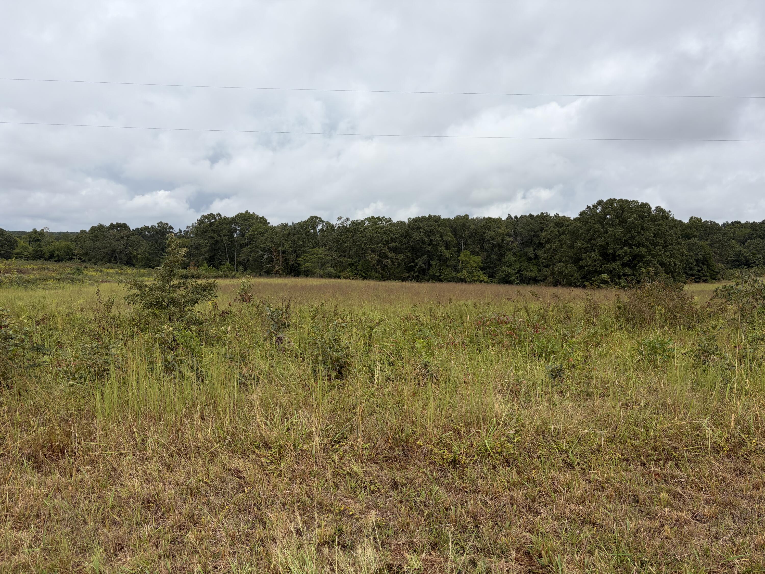 Photo 4 - Land for sale – 22833  Missouri 19   Alton, MO