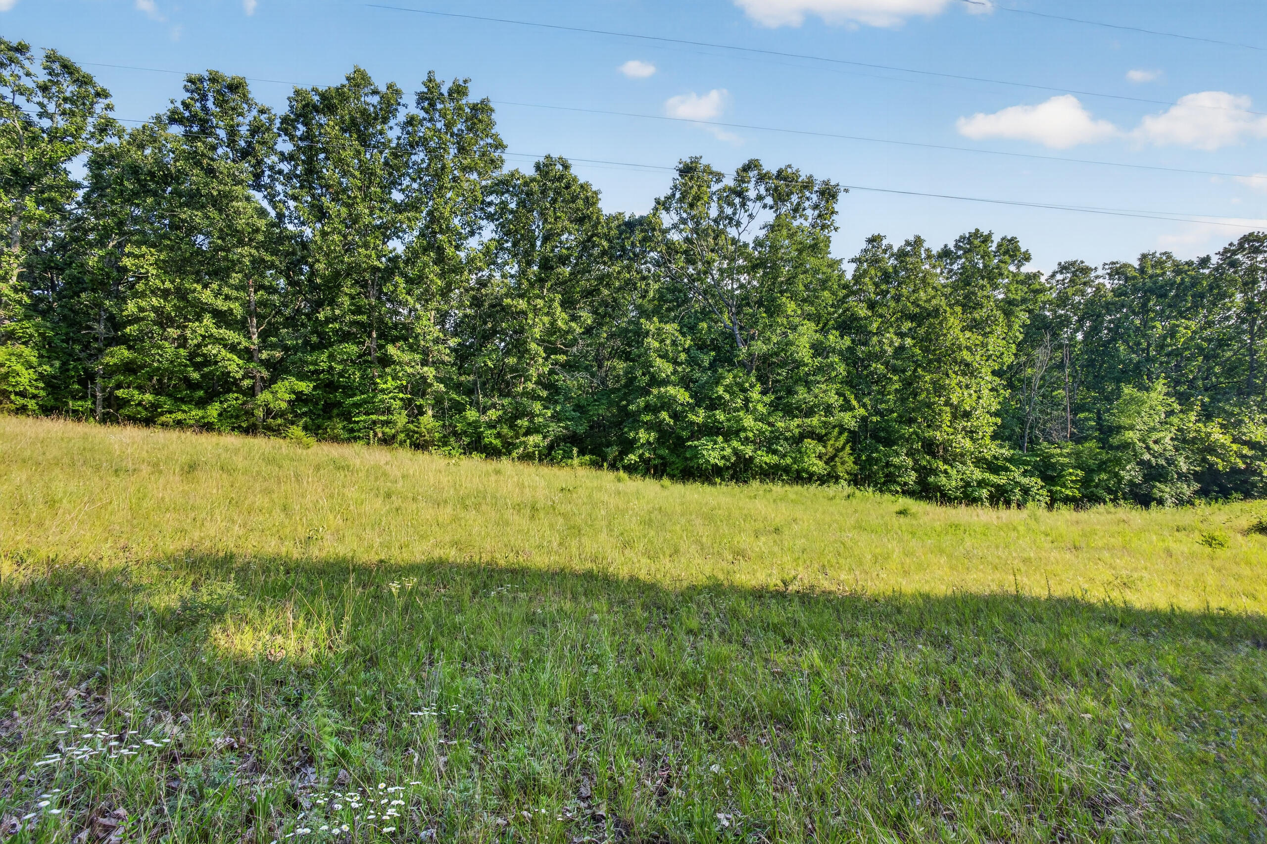 Photo 12 - Land for sale – Tbd  005 Cantrell Road  Mansfield, MO