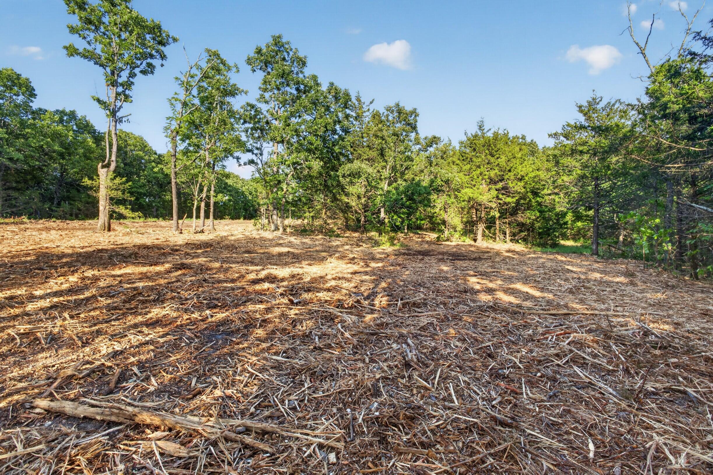 Photo 4 - Land for sale – Tbd  005 Cantrell Road  Mansfield, MO