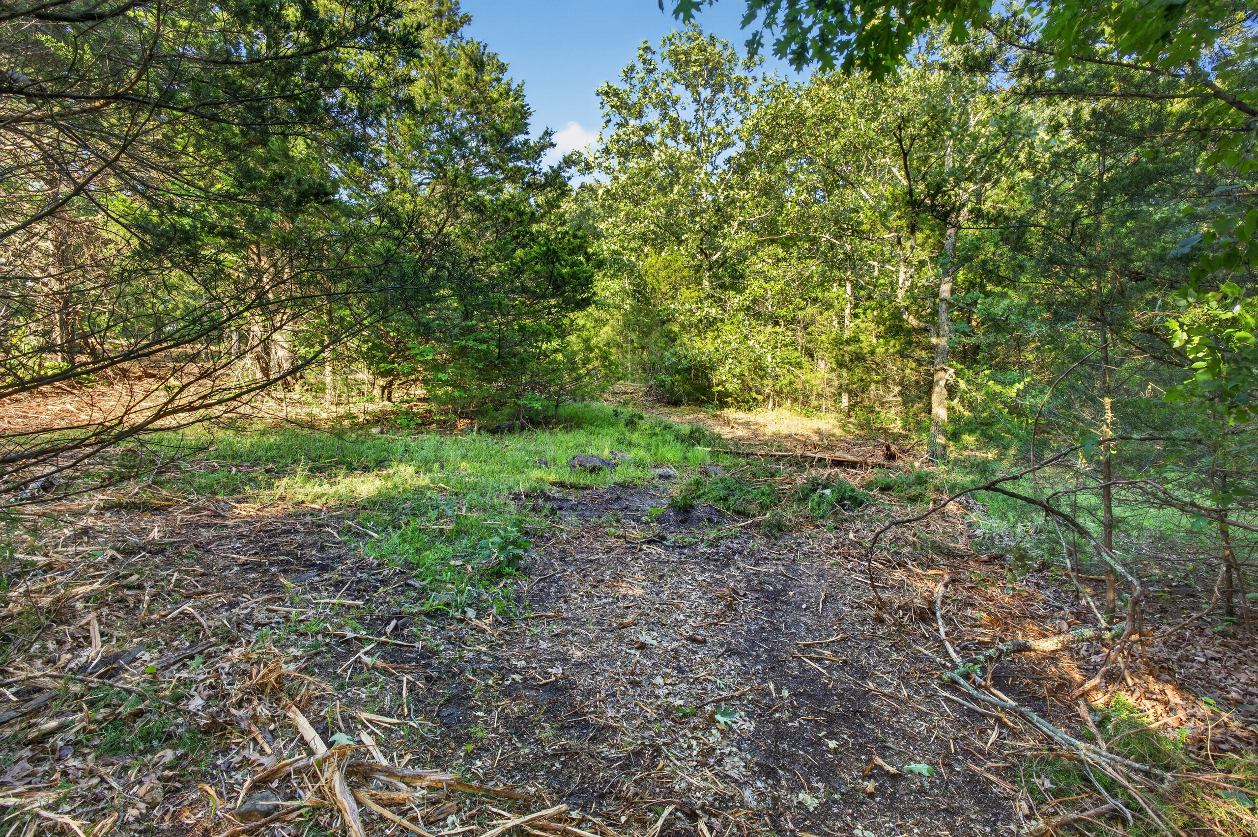 Photo 6 - Land for sale – Tbd  005 Cantrell Road  Mansfield, MO