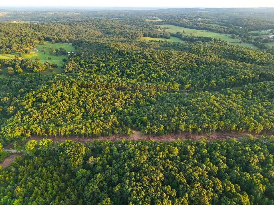Photo 16 - Land for sale – Tbd  005 Cantrell Road  Mansfield, MO