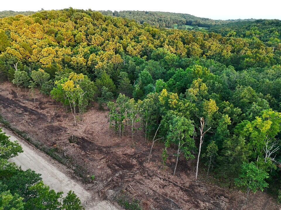 Photo 14 - Land for sale – Tbd  005 Cantrell Road  Mansfield, MO