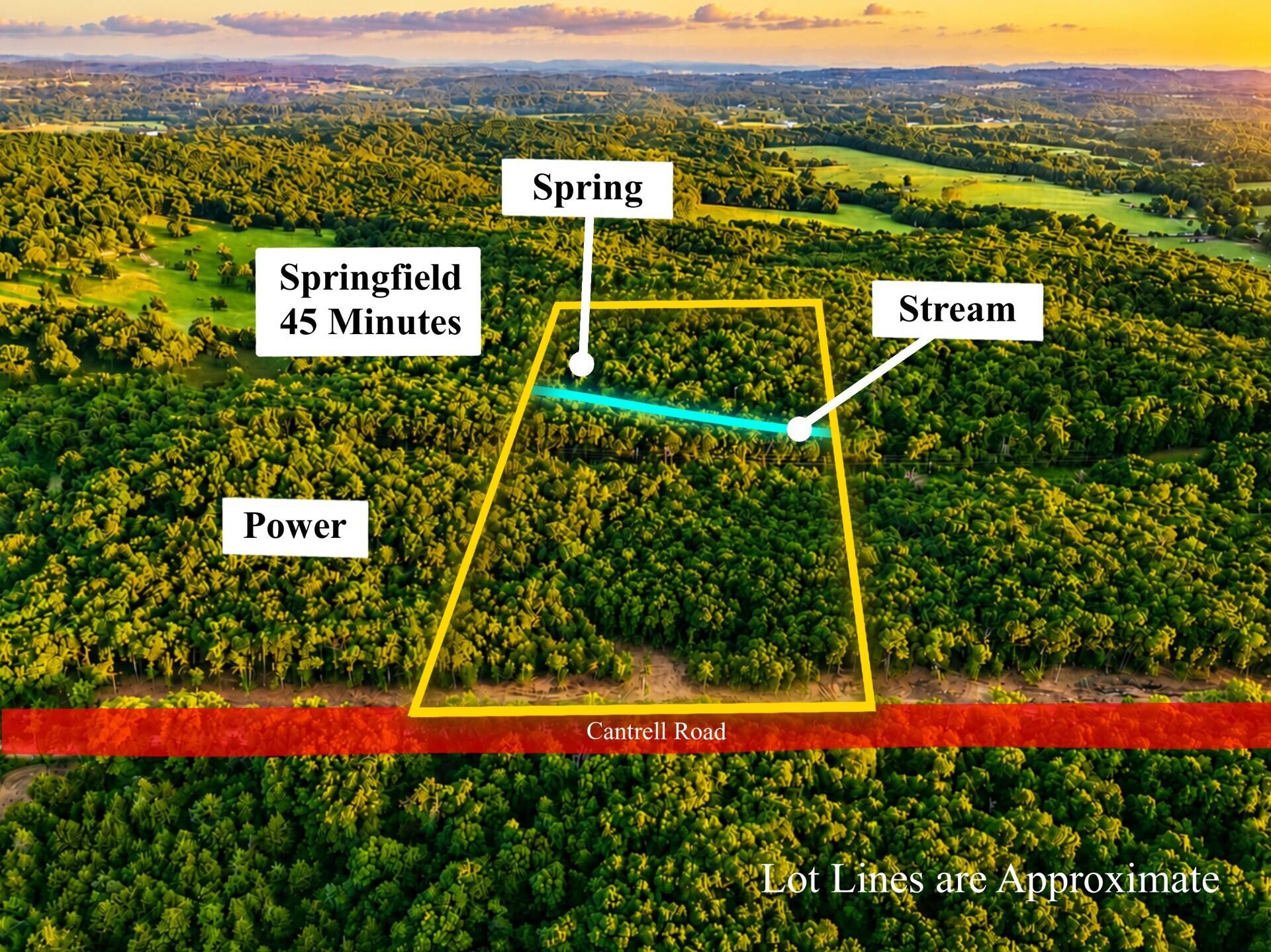 Land for sale – Tbd  005 Cantrell Road  Mansfield, MO