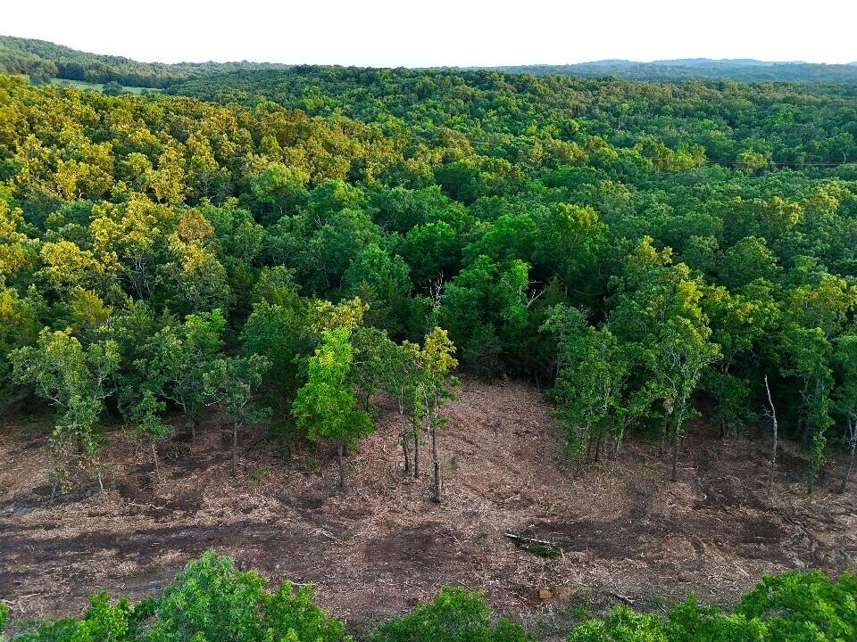 Photo 15 - Land for sale – Tbd  005 Cantrell Road  Mansfield, MO