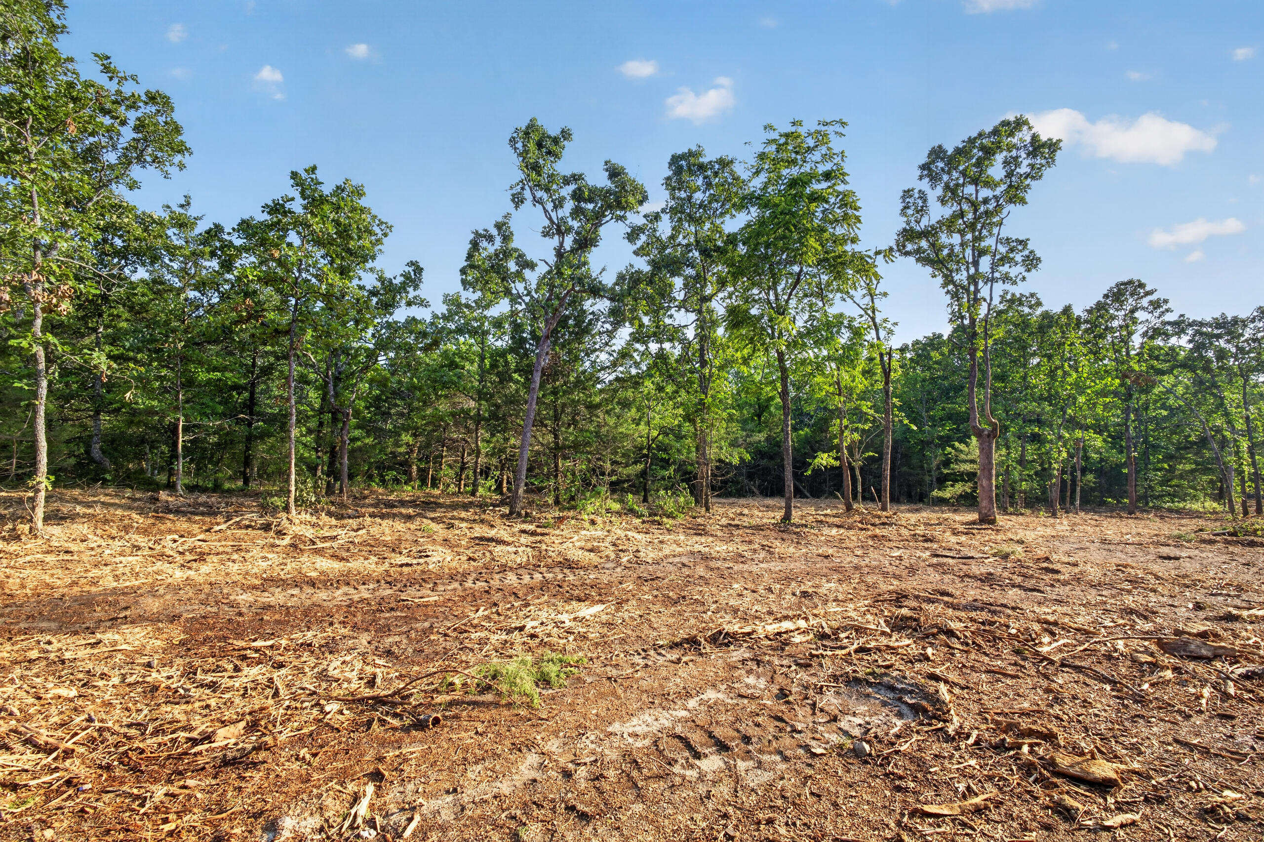 Photo 2 - Land for sale – Tbd  005 Cantrell Road  Mansfield, MO
