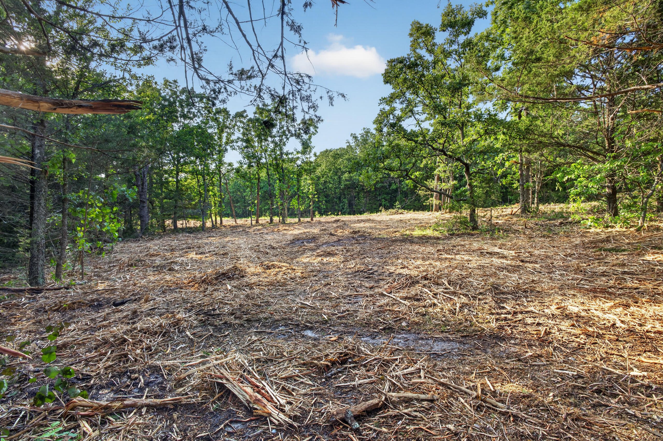 Photo 5 - Land for sale – Tbd  005 Cantrell Road  Mansfield, MO