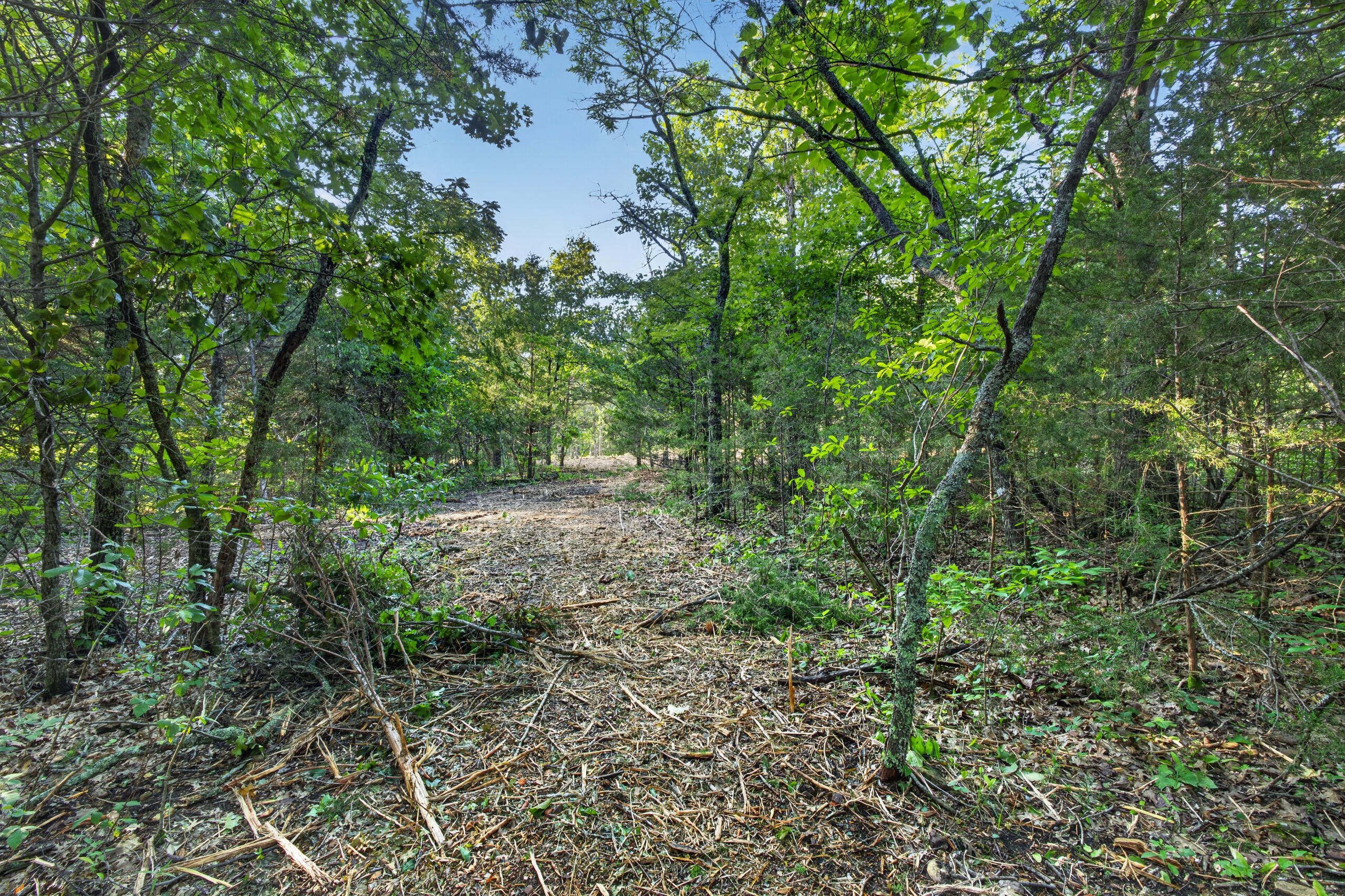 Photo 7 - Land for sale – Tbd  005 Cantrell Road  Mansfield, MO