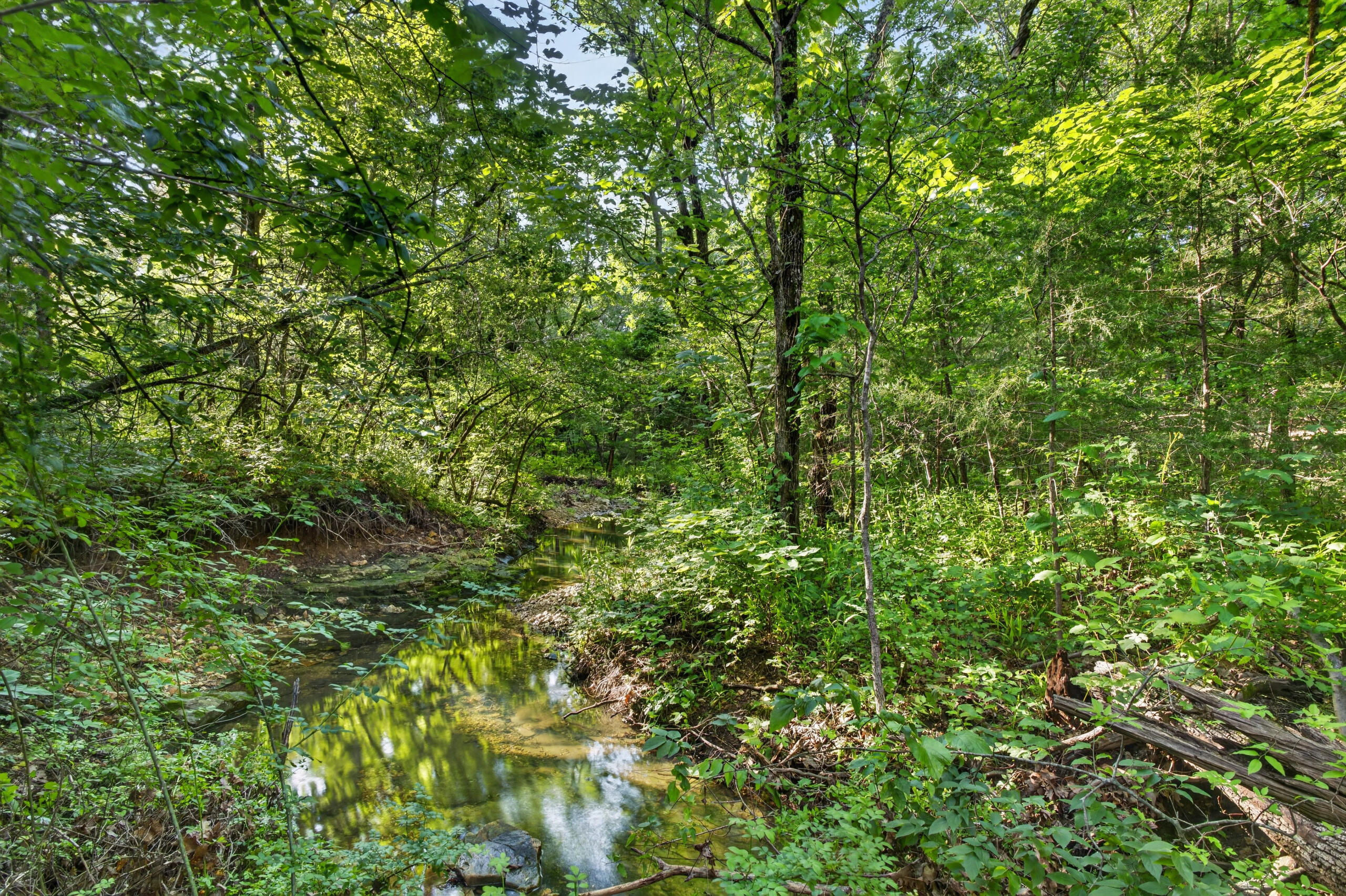 Photo 9 - Land for sale – Tbd  005 Cantrell Road  Mansfield, MO