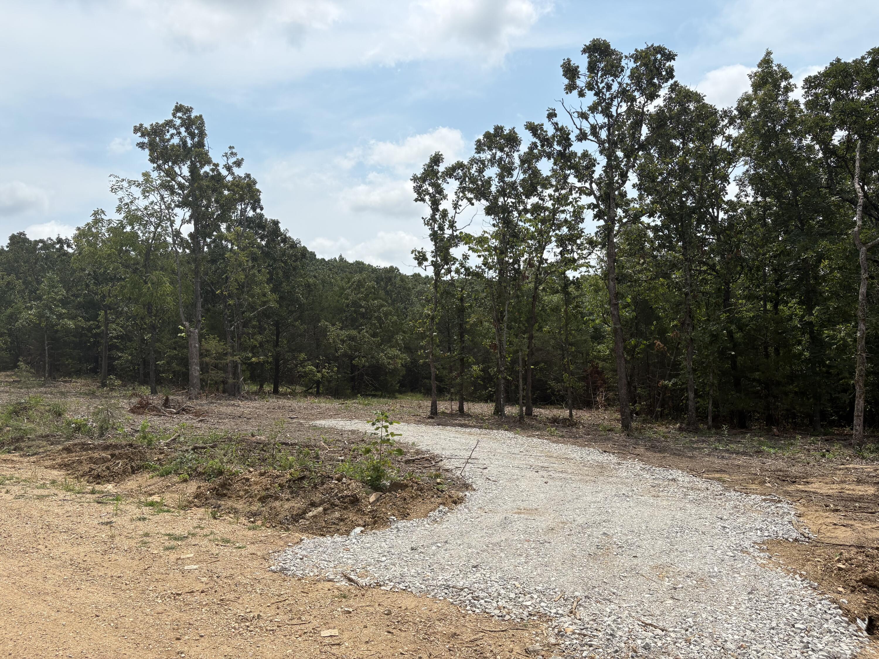 Photo 3 - Land for sale – Tbd  005 Cantrell Road  Mansfield, MO