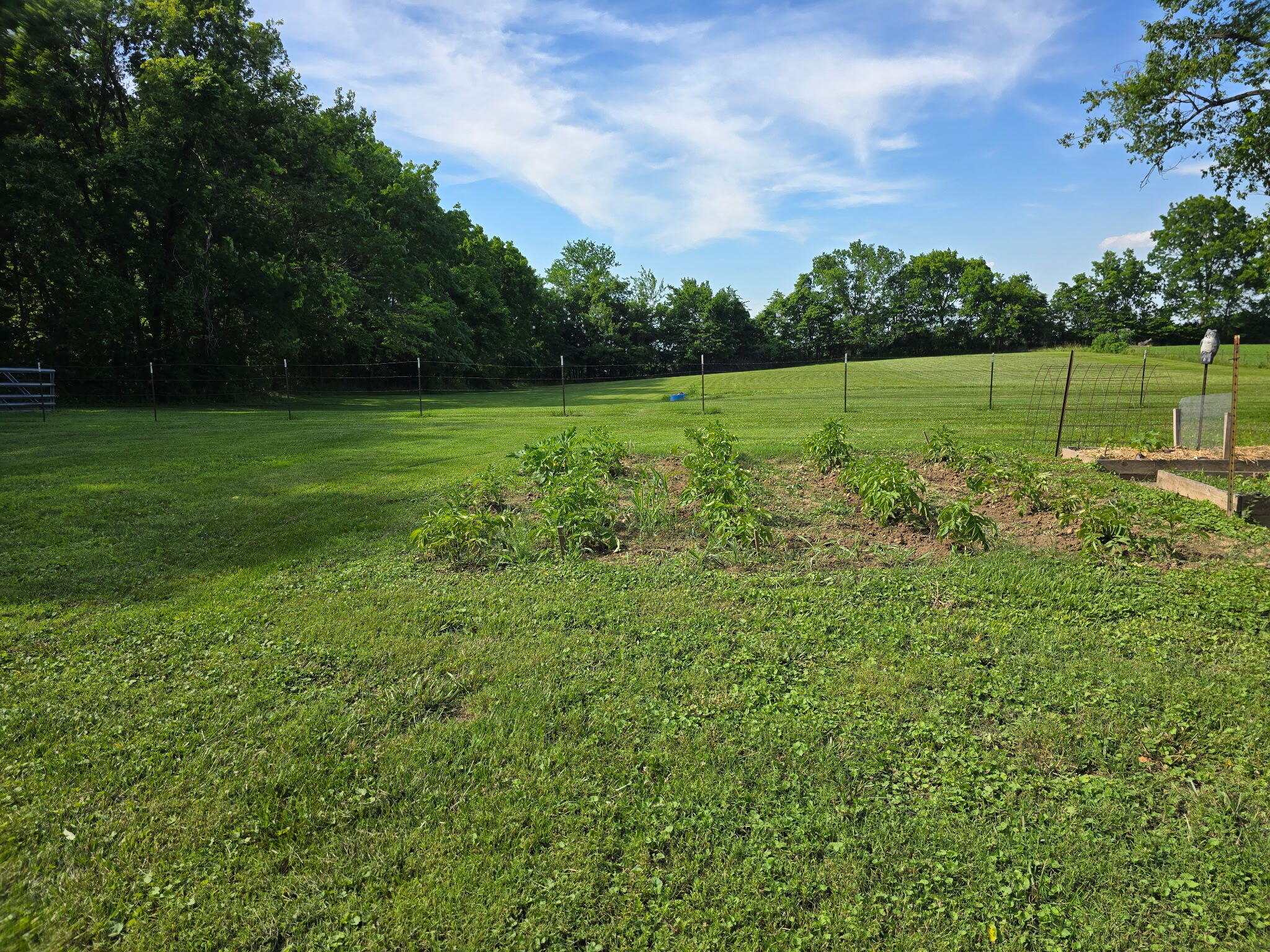 Photo 23 - Residential for sale – 1305  Prairie Ridge Road  Ozark, MO