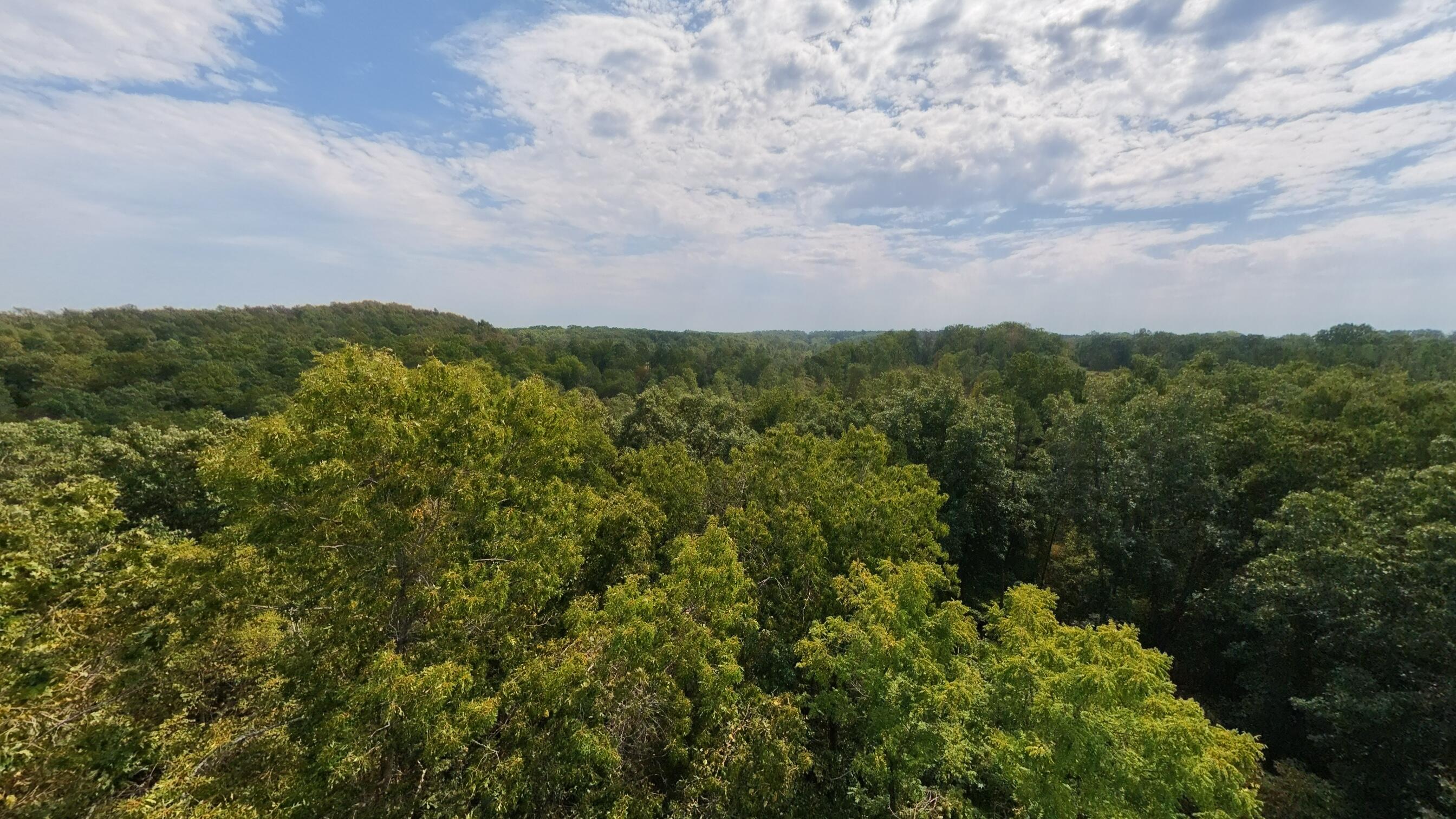 Photo 34 - Residential for sale – 1168  County Road 5710   Willow Springs, MO