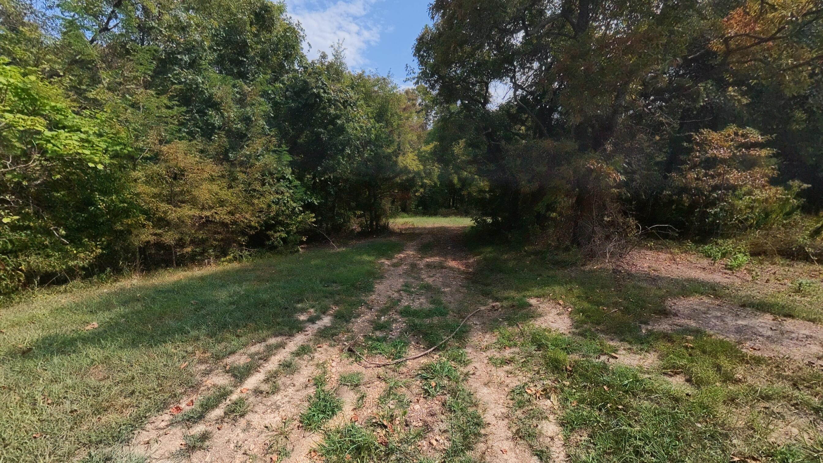 Photo 38 - Residential for sale – 1168  County Road 5710   Willow Springs, MO