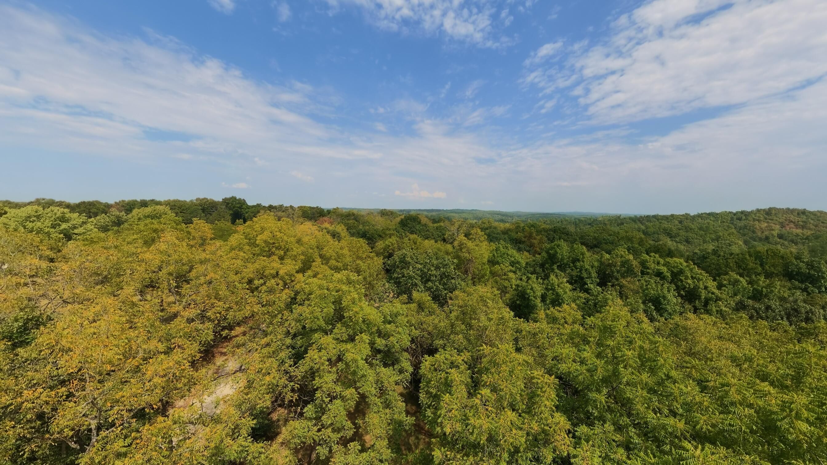Photo 23 - Residential for sale – 1168  County Road 5710   Willow Springs, MO