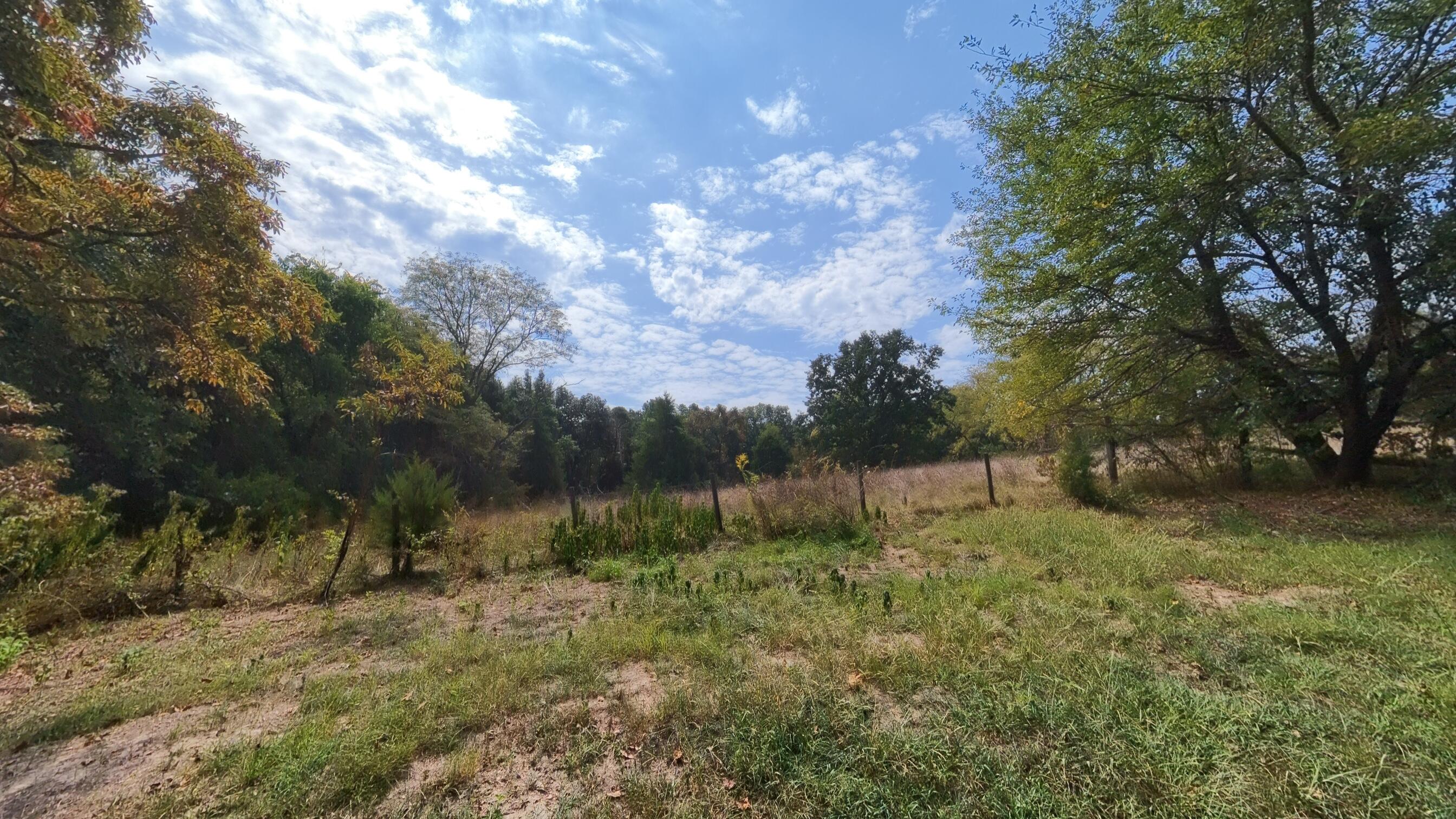 Photo 37 - Residential for sale – 1168  County Road 5710   Willow Springs, MO