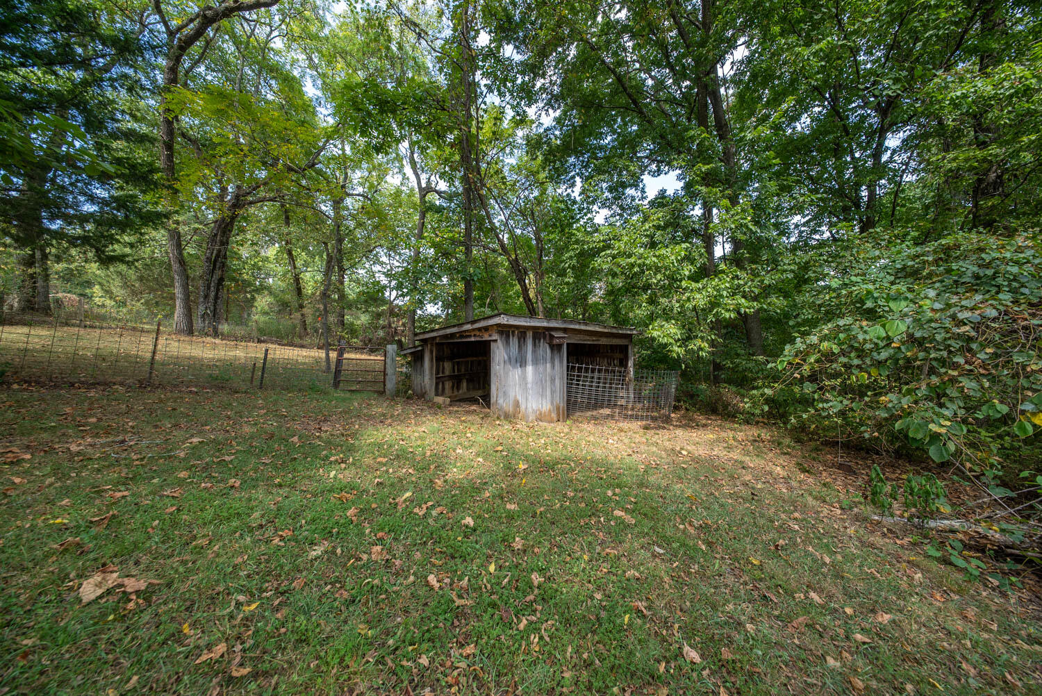 Photo 8 - Residential for sale – 1168  County Road 5710   Willow Springs, MO