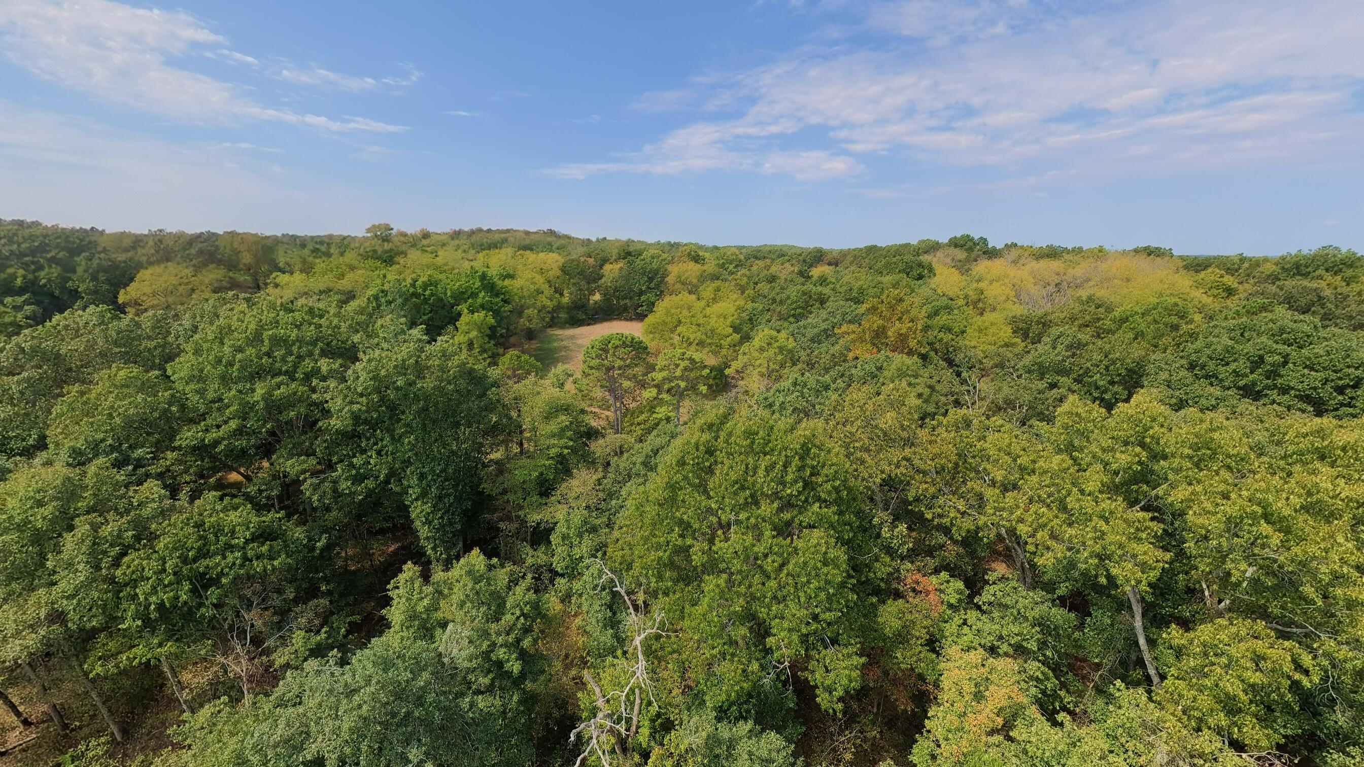 Photo 28 - Residential for sale – 1168  County Road 5710   Willow Springs, MO