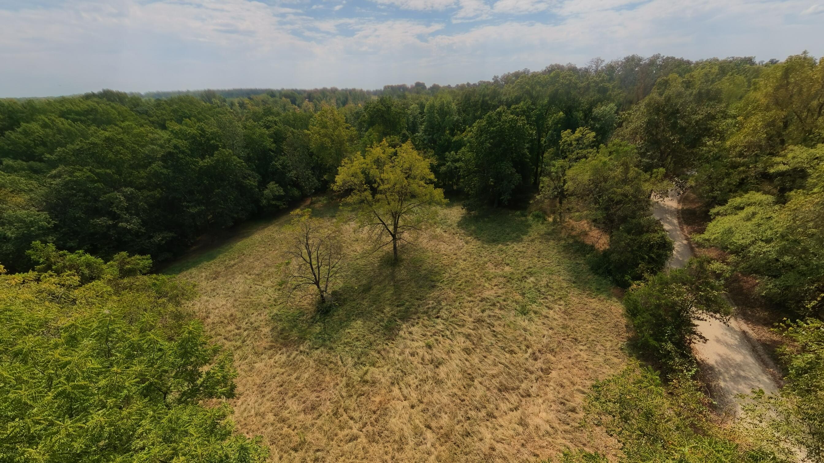 Photo 22 - Residential for sale – 1168  County Road 5710   Willow Springs, MO