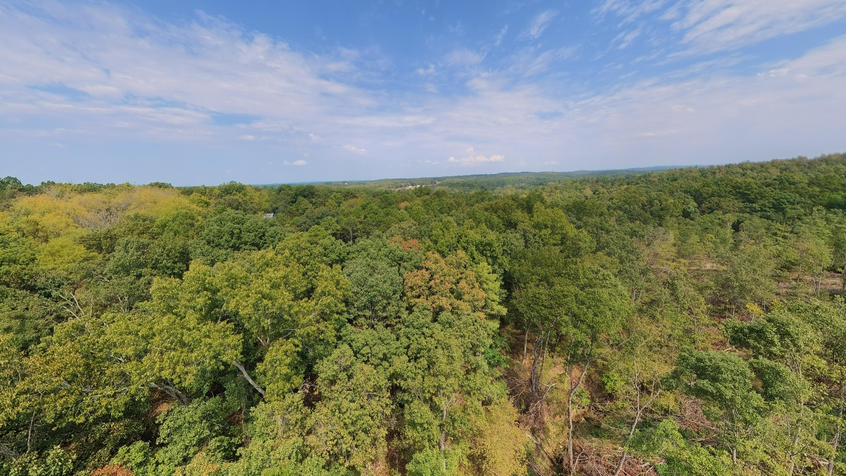 Photo 29 - Residential for sale – 1168  County Road 5710   Willow Springs, MO