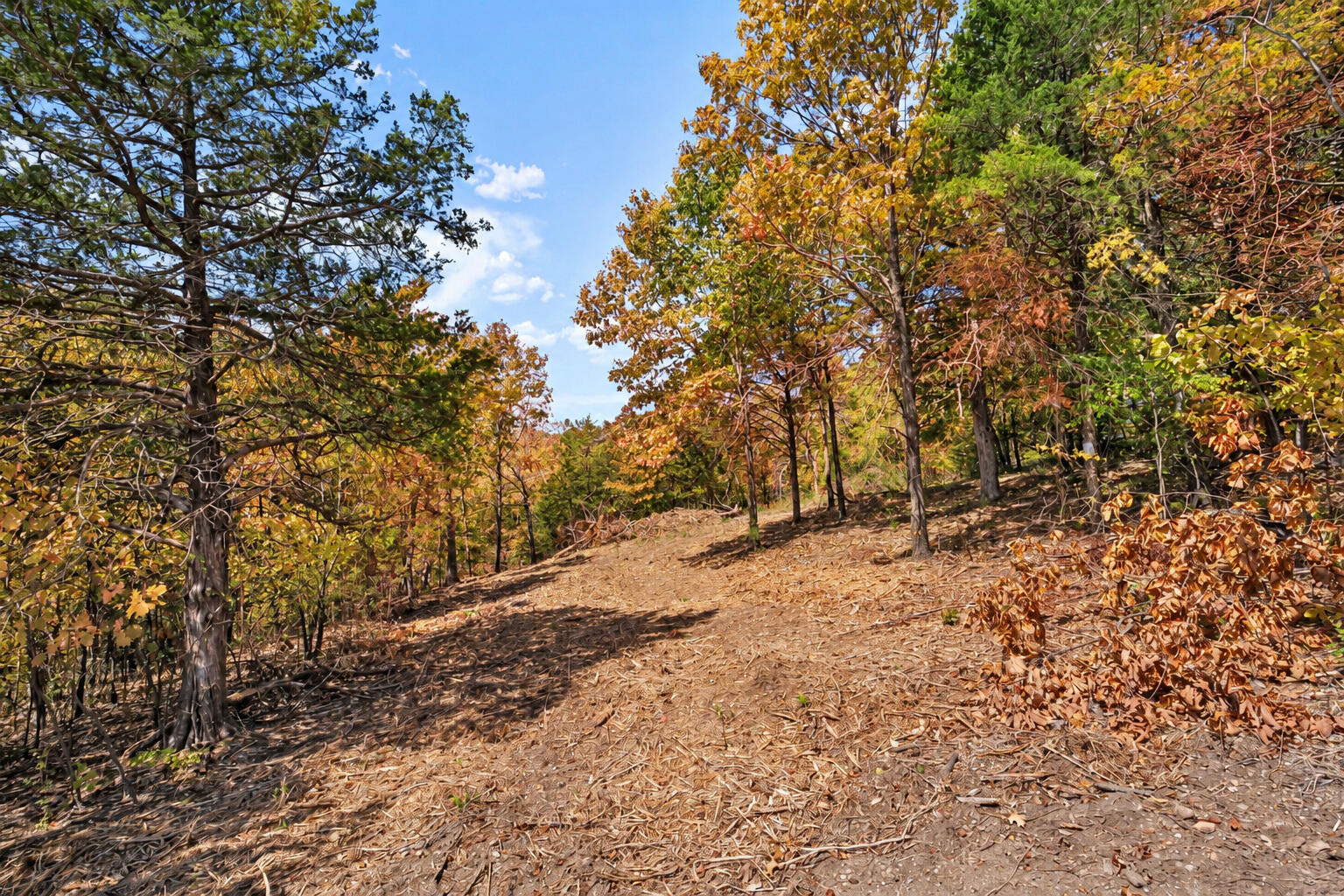 Photo 37 - Land for sale – 21  Paola Lane  Kimberling City, MO