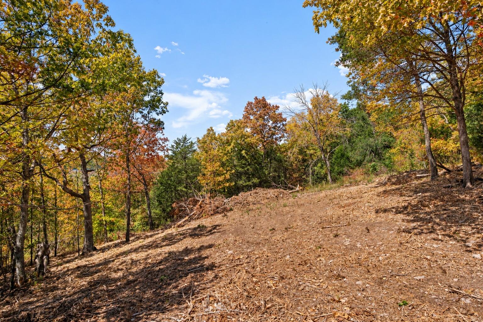 Photo 39 - Land for sale – 21  Paola Lane  Kimberling City, MO