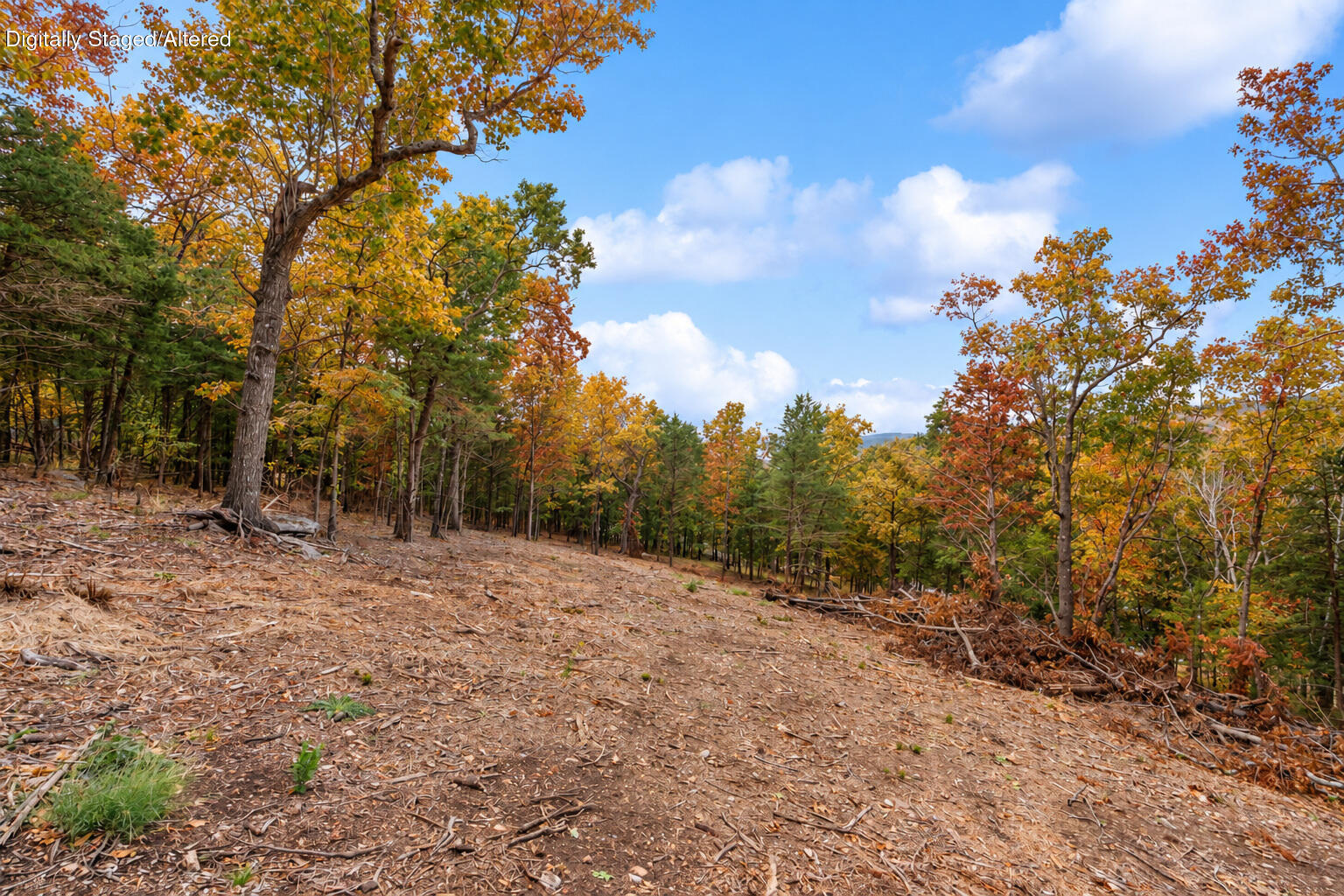 Photo 26 - Land for sale – 21  Paola Lane  Kimberling City, MO
