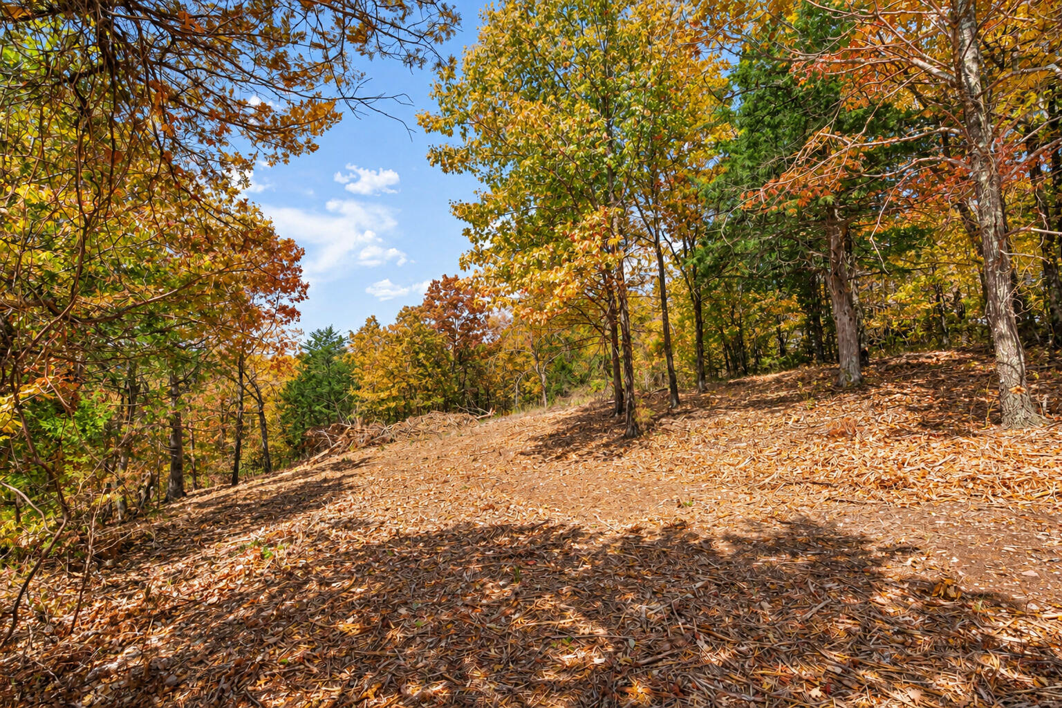 Photo 38 - Land for sale – 21  Paola Lane  Kimberling City, MO