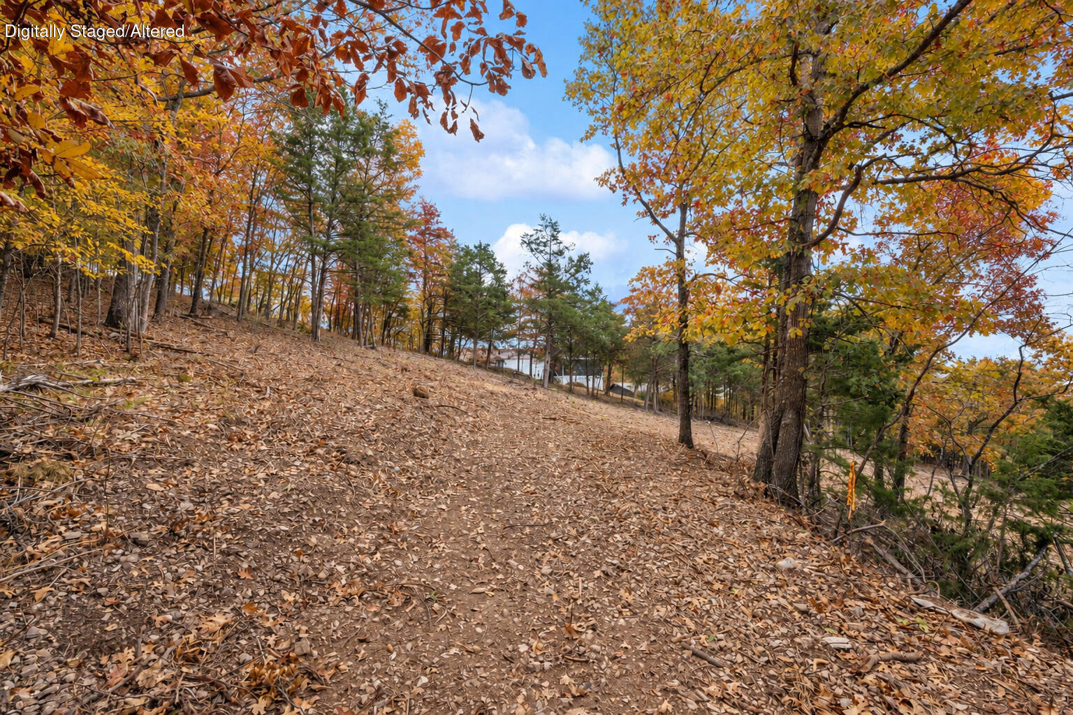 Photo 20 - Land for sale – 21  Paola Lane  Kimberling City, MO