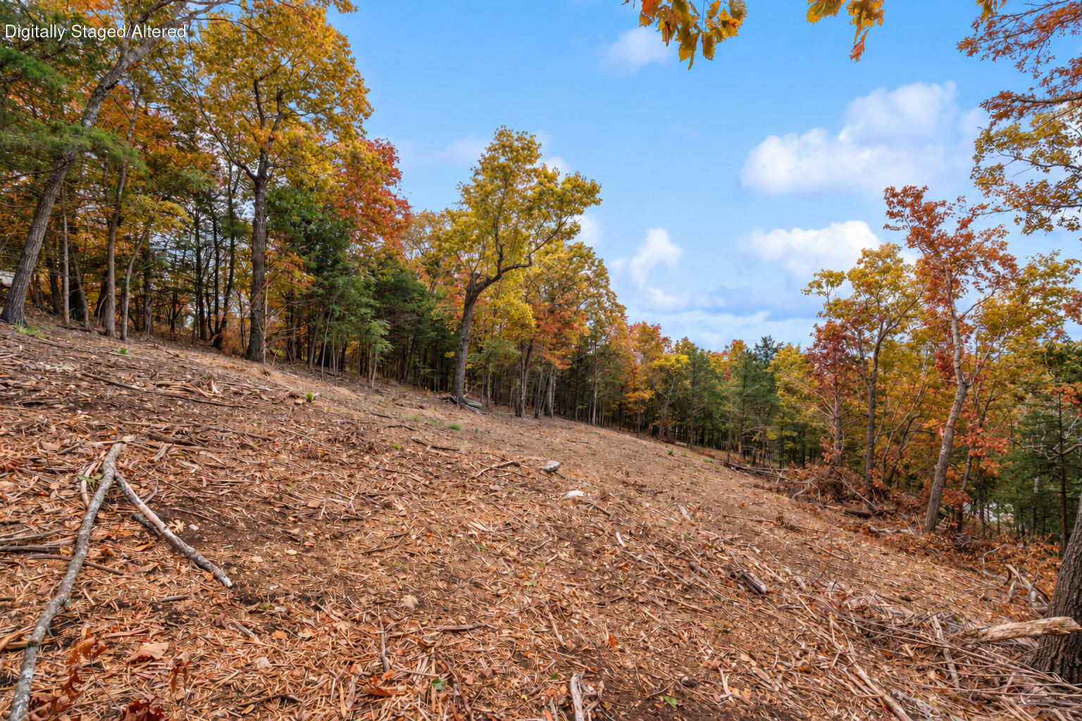 Photo 25 - Land for sale – 21  Paola Lane  Kimberling City, MO