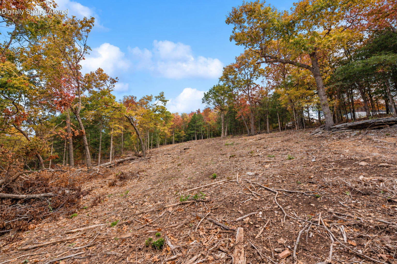 Photo 27 - Land for sale – 21  Paola Lane  Kimberling City, MO