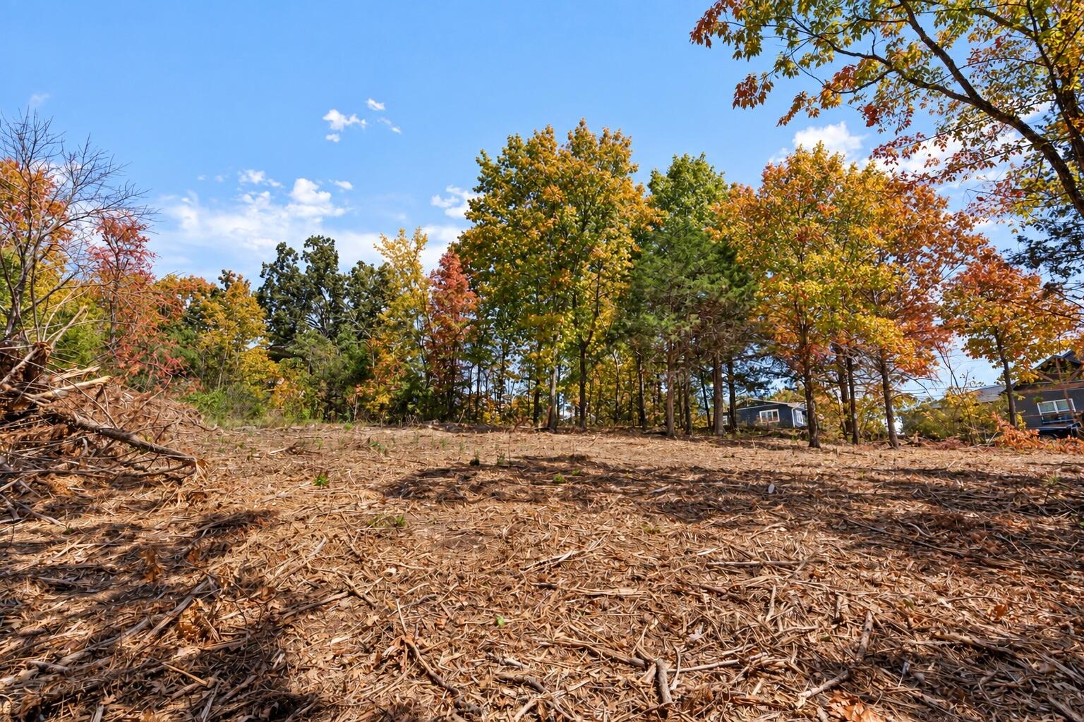 Photo 5 - Land for sale – 21  Paola Lane  Kimberling City, MO