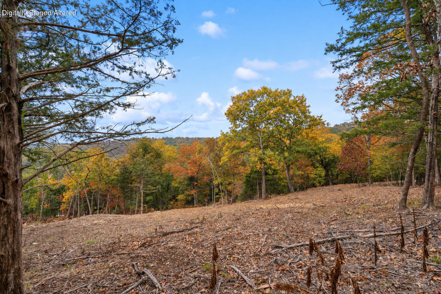 Photo 9 - Land for sale – 21  Paola Lane  Kimberling City, MO