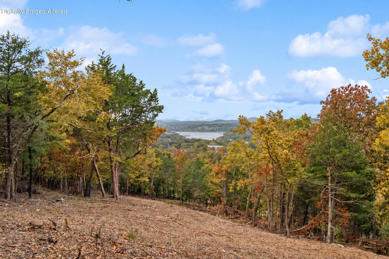 Photo 3 - Land for sale – 21  Paola Lane  Kimberling City, MO