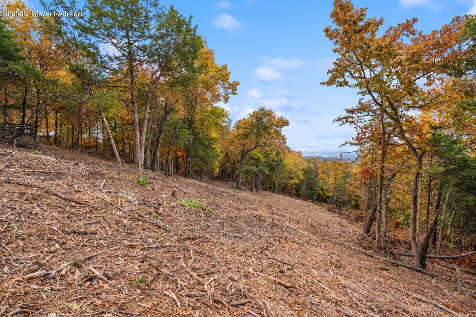 Photo 24 - Land for sale – 21  Paola Lane  Kimberling City, MO