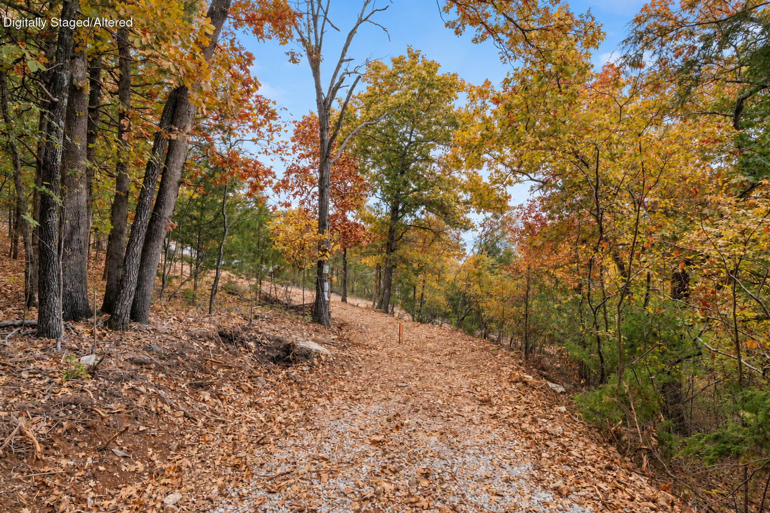 Photo 12 - Land for sale – 21  Paola Lane  Kimberling City, MO