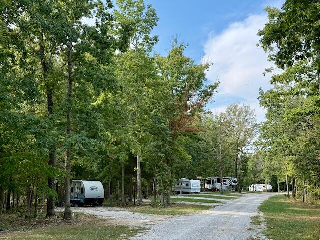 Photo 2 - Commercial Sale for sale – 891  Missouri 17   Mountain View, MO