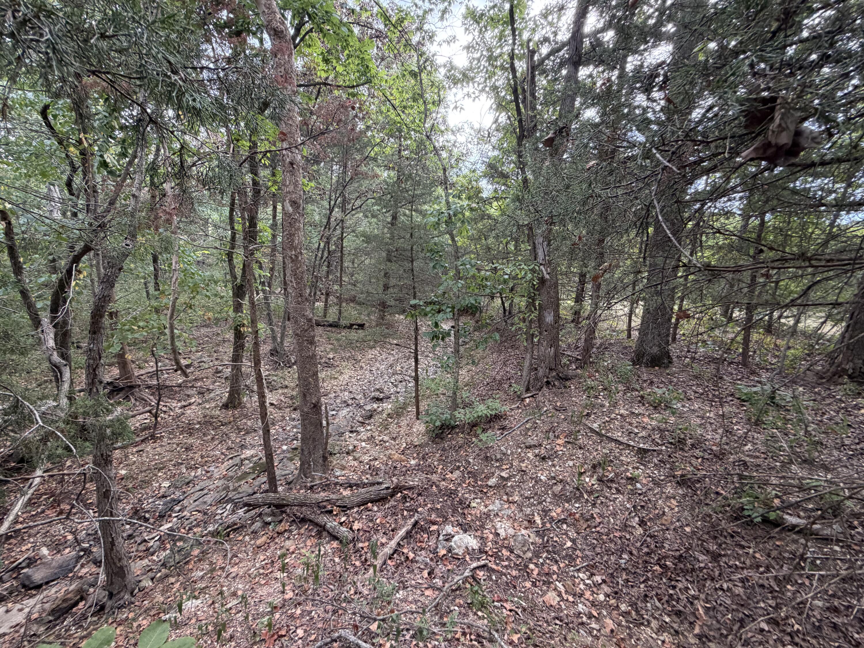 Photo 22 - Land for sale – 000  County Road 316   Urbana, MO